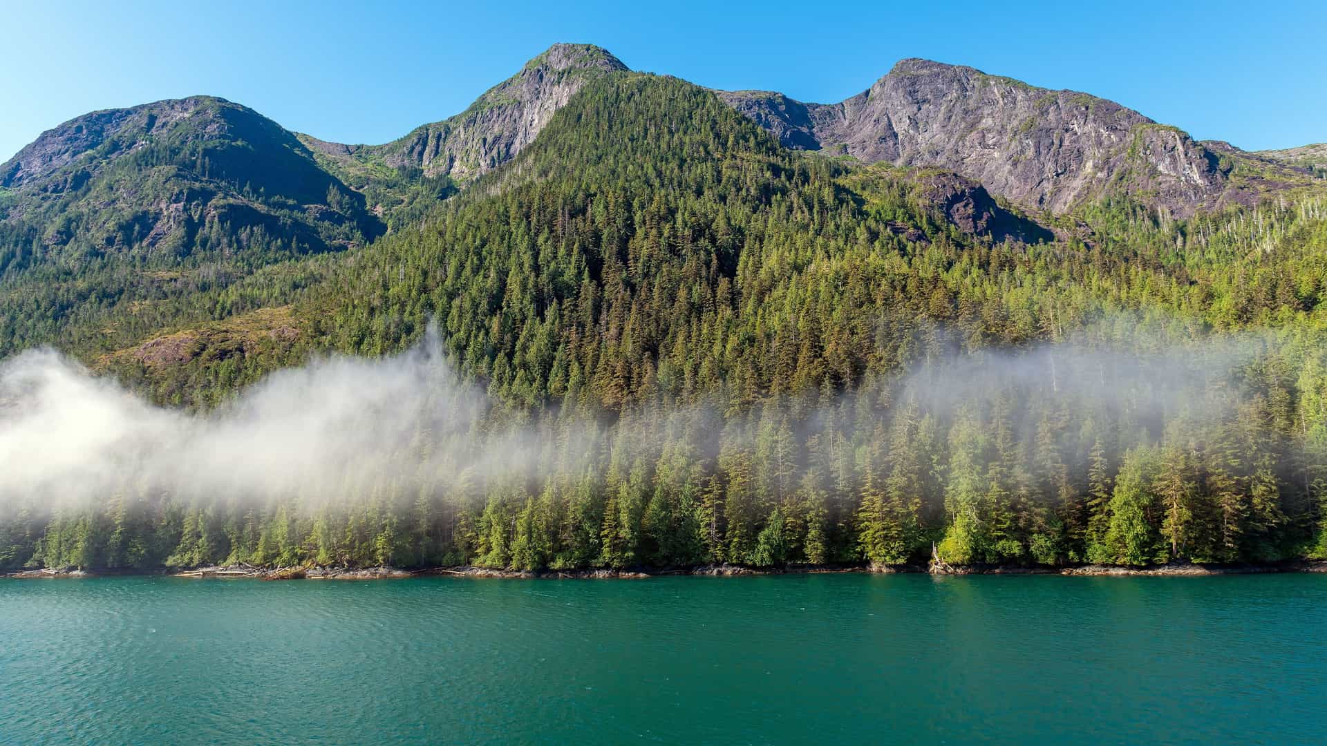 A scenic view of a vast, tranquil lake or fjord with a layer of mist rising from the surface, partially obscuring the dense coniferous forest on the shore. Beyond the trees, rugged, forested mountains rise steeply against a clear blue sky.