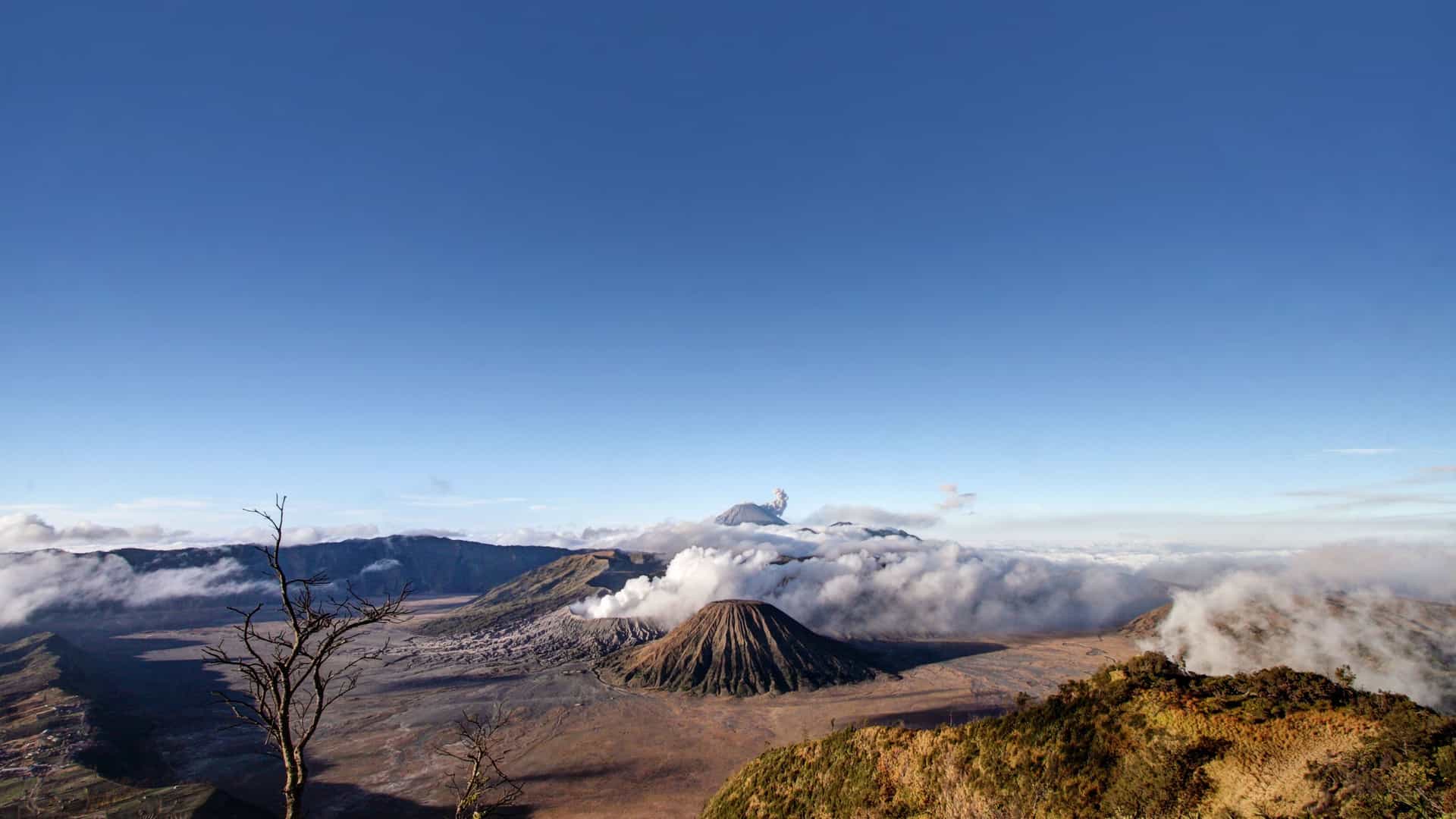 A breathtaking view of Mount Bromo and the surrounding volcanic landscape in Probolinggo, Java, with a plume of smoke rising against a clear blue sky.