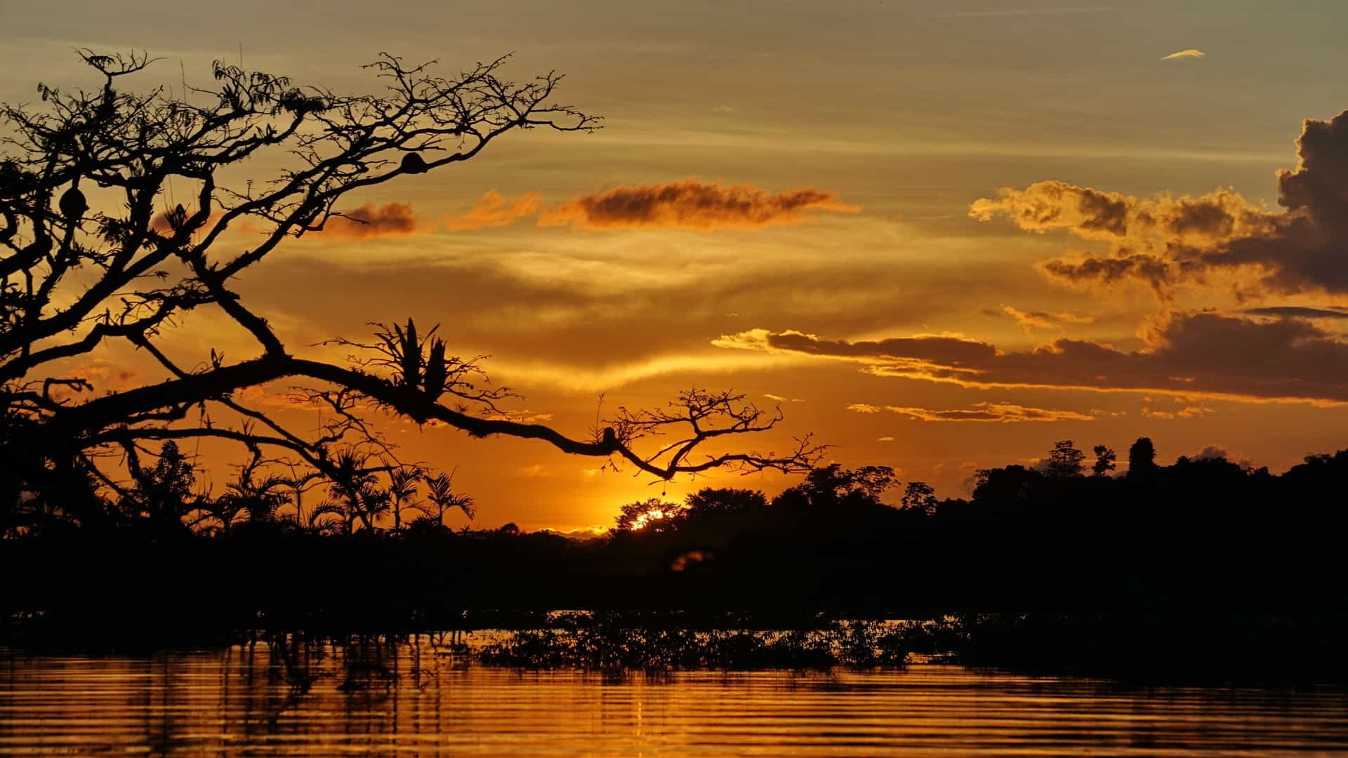 A dramatic sunset over the Amazon rainforest near Puerto Bolívar, Ecuador, with a silhouette of trees reflected on the water under a vibrant orange and yellow sky.