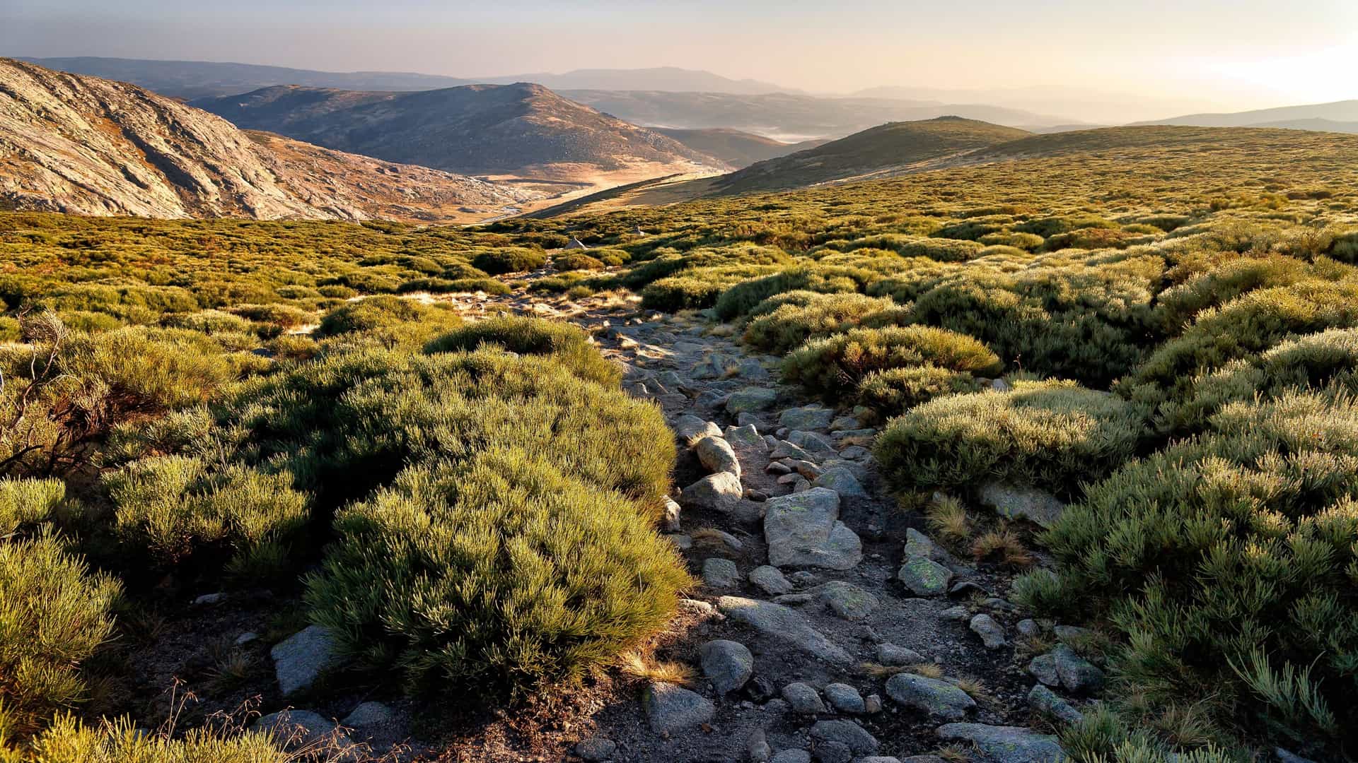 A stunning sunrise over the rugged mountain landscape of the Sierra de Gredos, Spain, with a rocky hiking trail winding through low, green scrub brush and distant peaks.