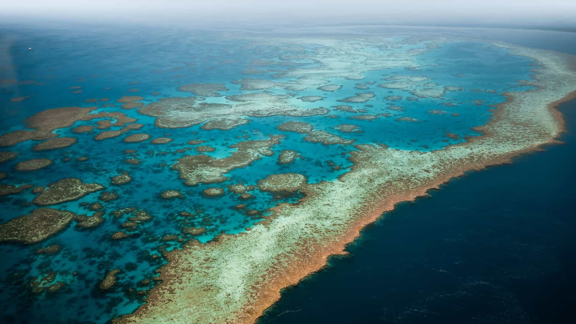 An aerial view of the Ringgold Islands in Fiji, showing a massive coral reef system with brilliant turquoise water contrasting with the deep blue of the Pacific Ocean.