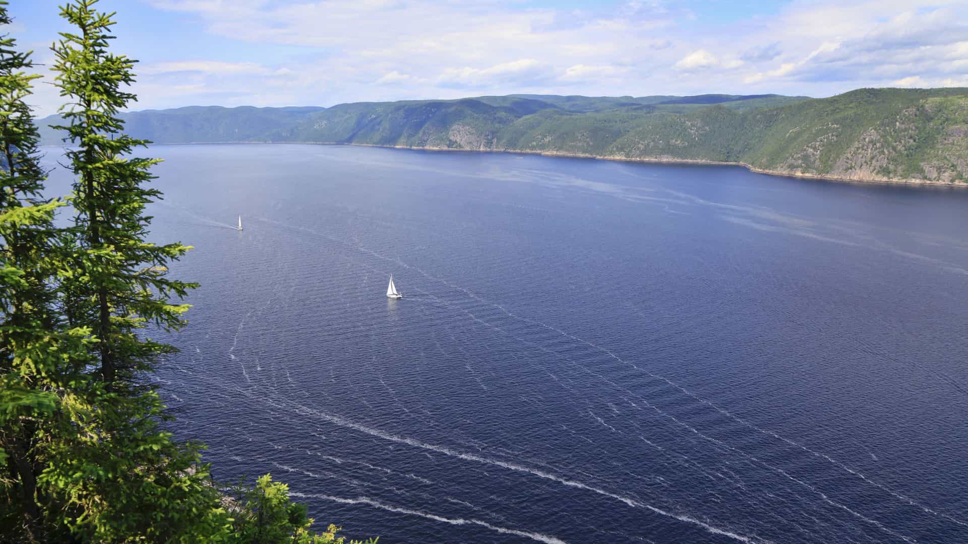 A vast, deep blue Saguenay Fjord with a few sailboats, framed by lush green forested hills and pine trees under a partly cloudy sky in Quebec, Canada.