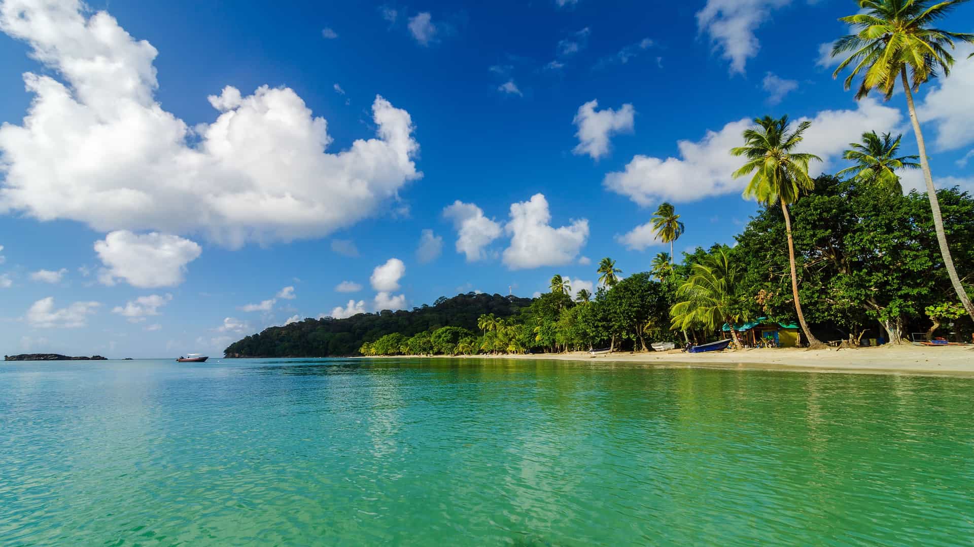 A breathtaking view of San Andrés Island, with a pristine, white sandy beach, palm trees leaning over the shore, and the crystal-clear turquoise waters of the Caribbean Sea under a blue sky with fluffy clouds.