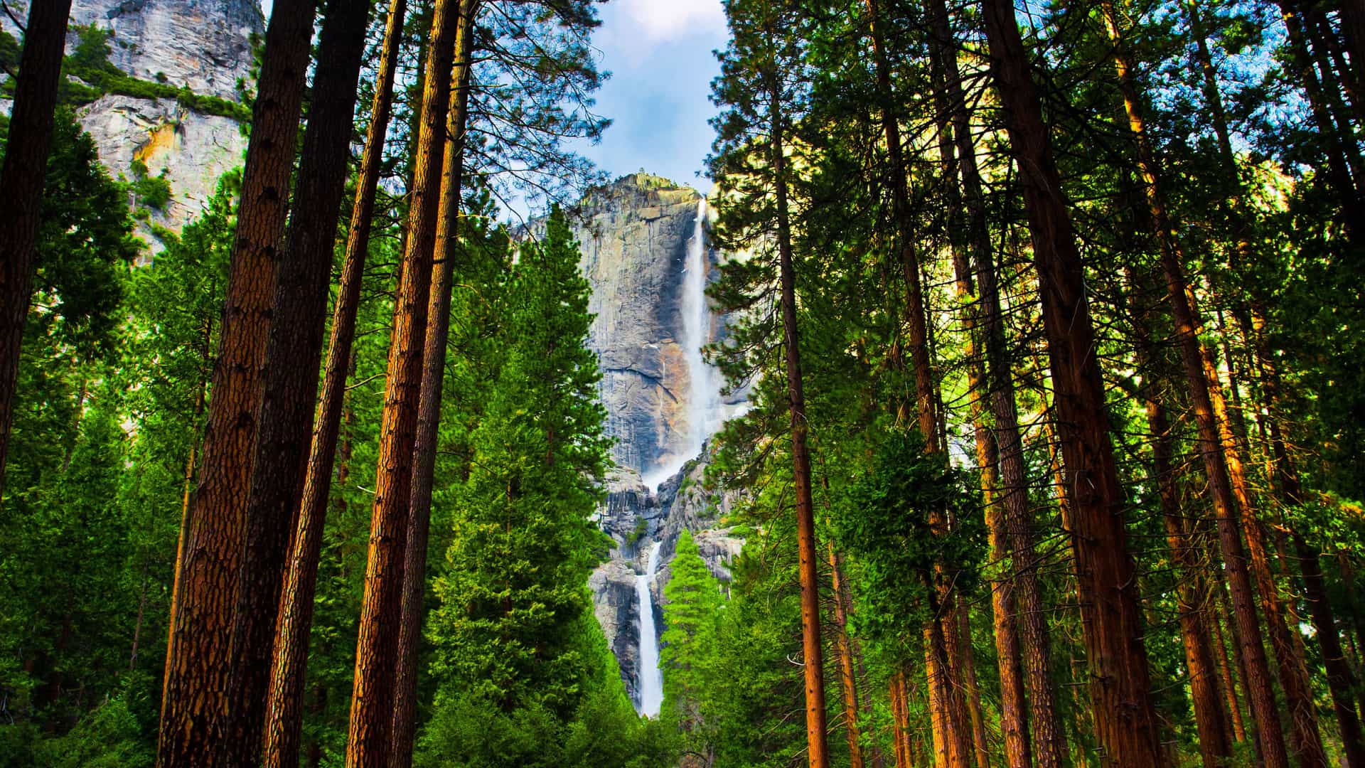 "A majestic view of a powerful waterfall cascading down a granite cliff face, framed by towering giant sequoia trees in Sequoia National Park, California.  "