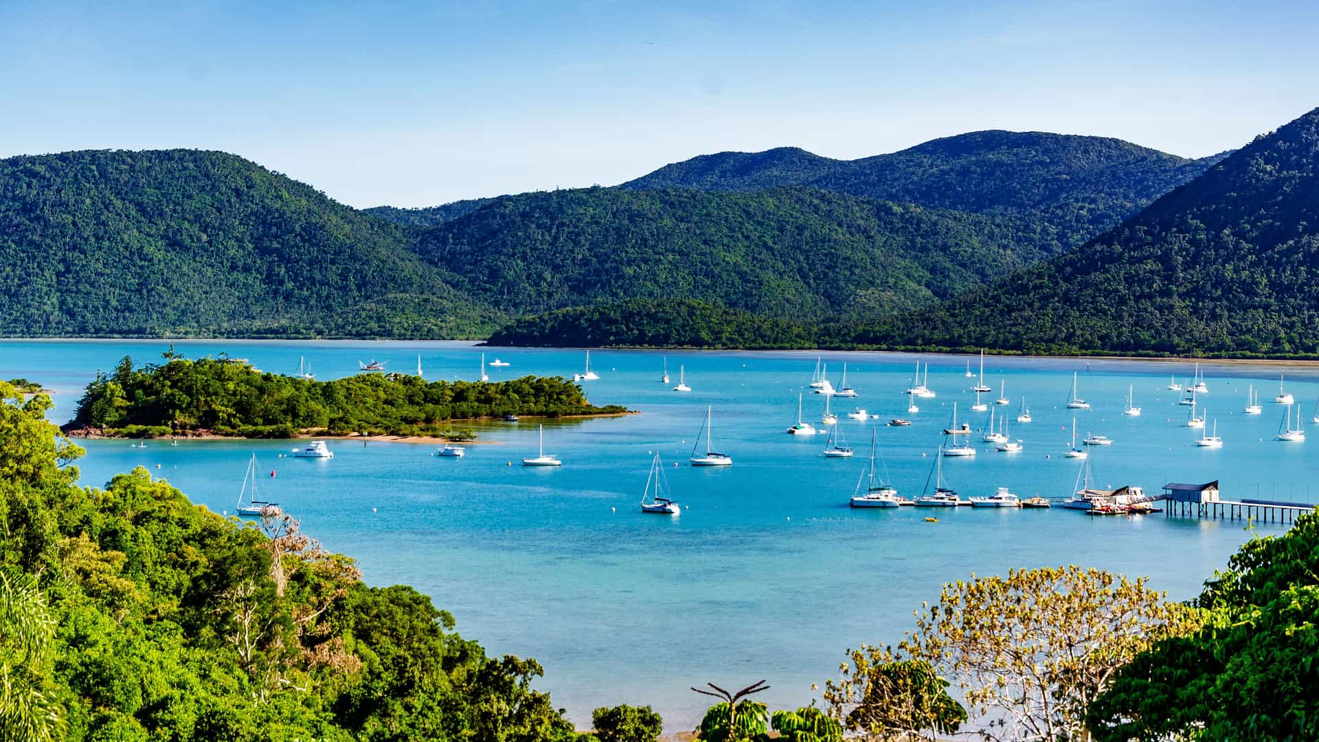A stunning view of Shute Harbour, Queensland, with numerous sailboats moored in the calm, turquoise waters surrounded by lush green forested islands and rolling hills.
