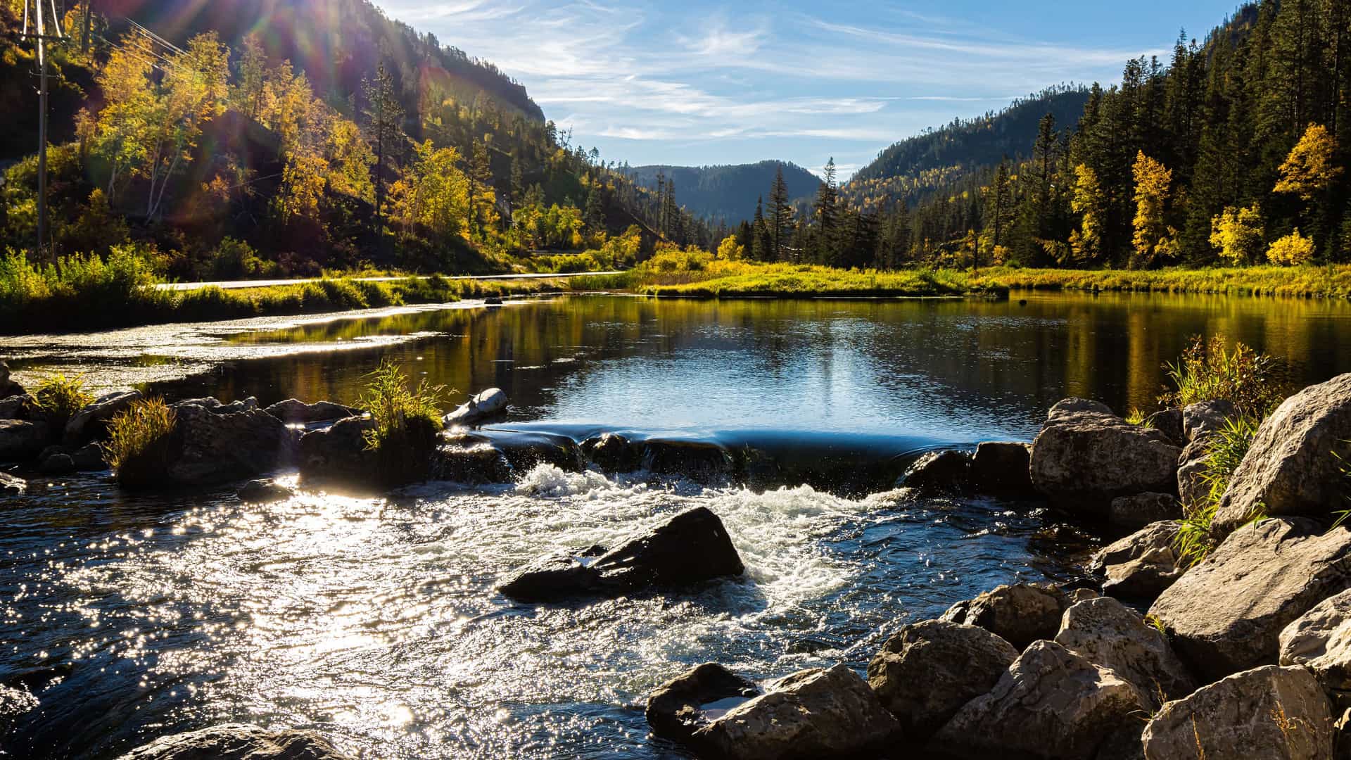 "A picturesque autumn view of Spearfish Creek in Spearfish Canyon, South Dakota, with a gentle river flowing over small rocks, surrounded by a forest of yellow and green trees.  "