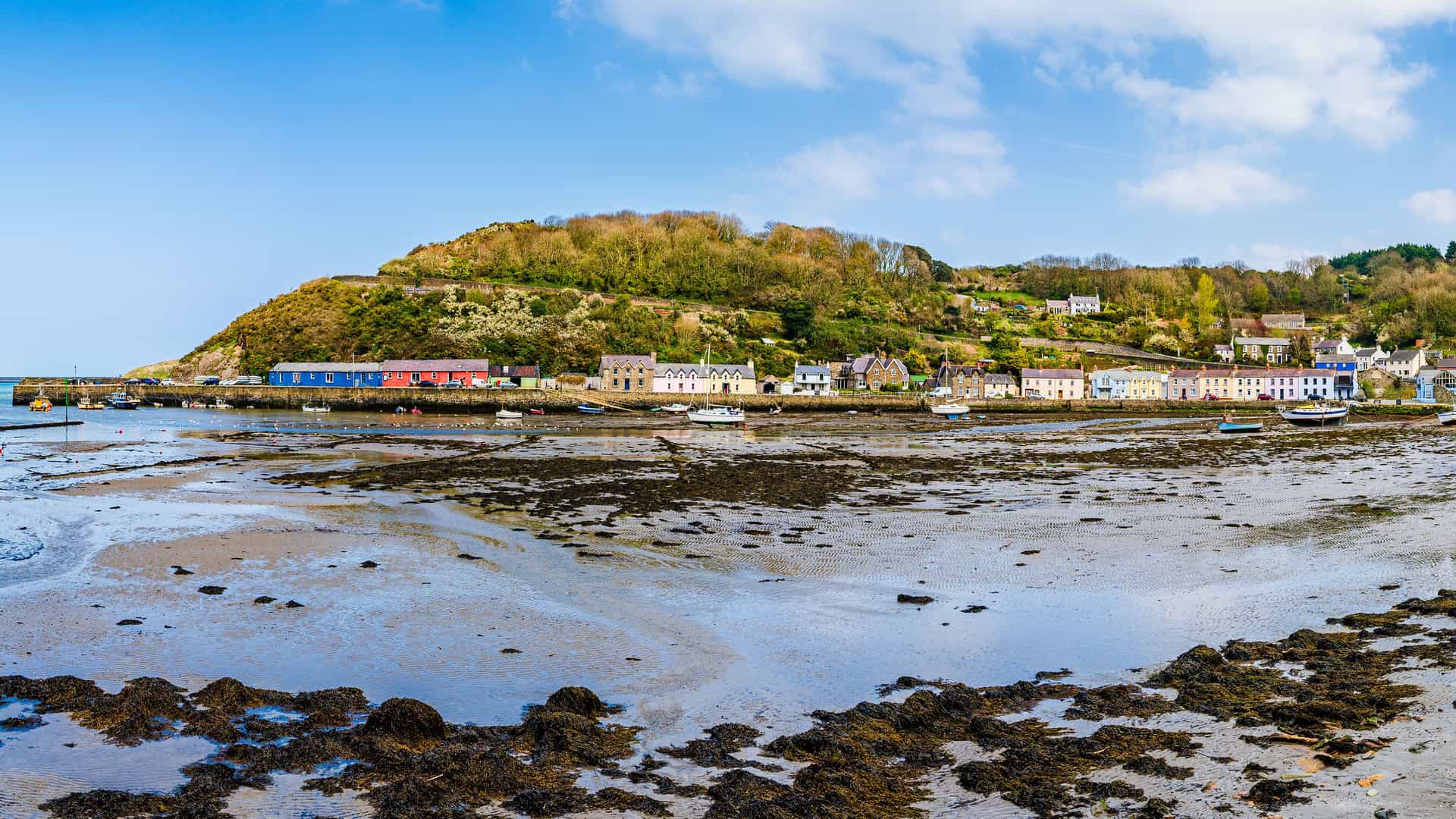 A low-tide view of the Irish Sea in St. George's Channel, with a muddy, rocky shoreline and small boats, and a charming row of colorful houses at the base of a lush green hill in the distance.