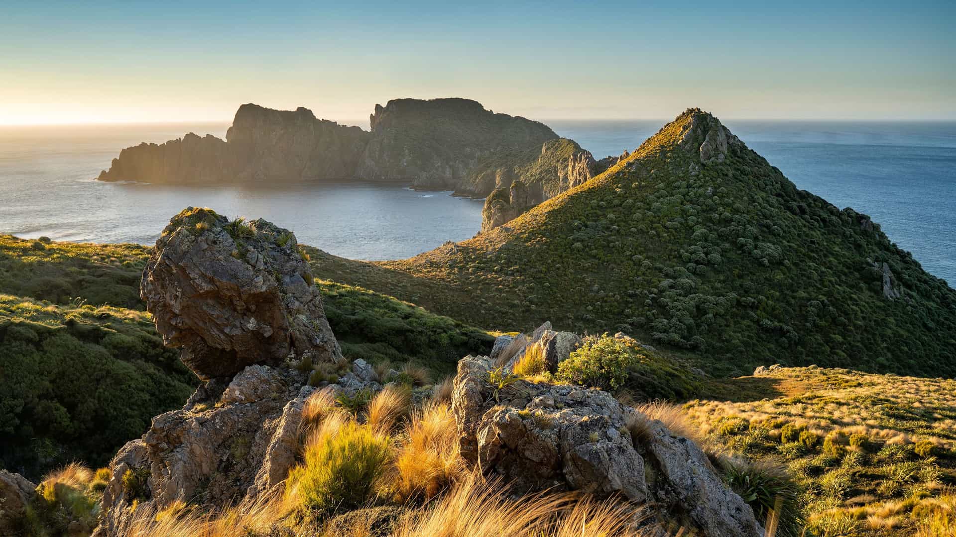 A beautiful sunset view of the rugged, rocky coastline of Stewart Island, New Zealand, with lush green and yellow hills, and the calm sea reflecting the sun's rays.