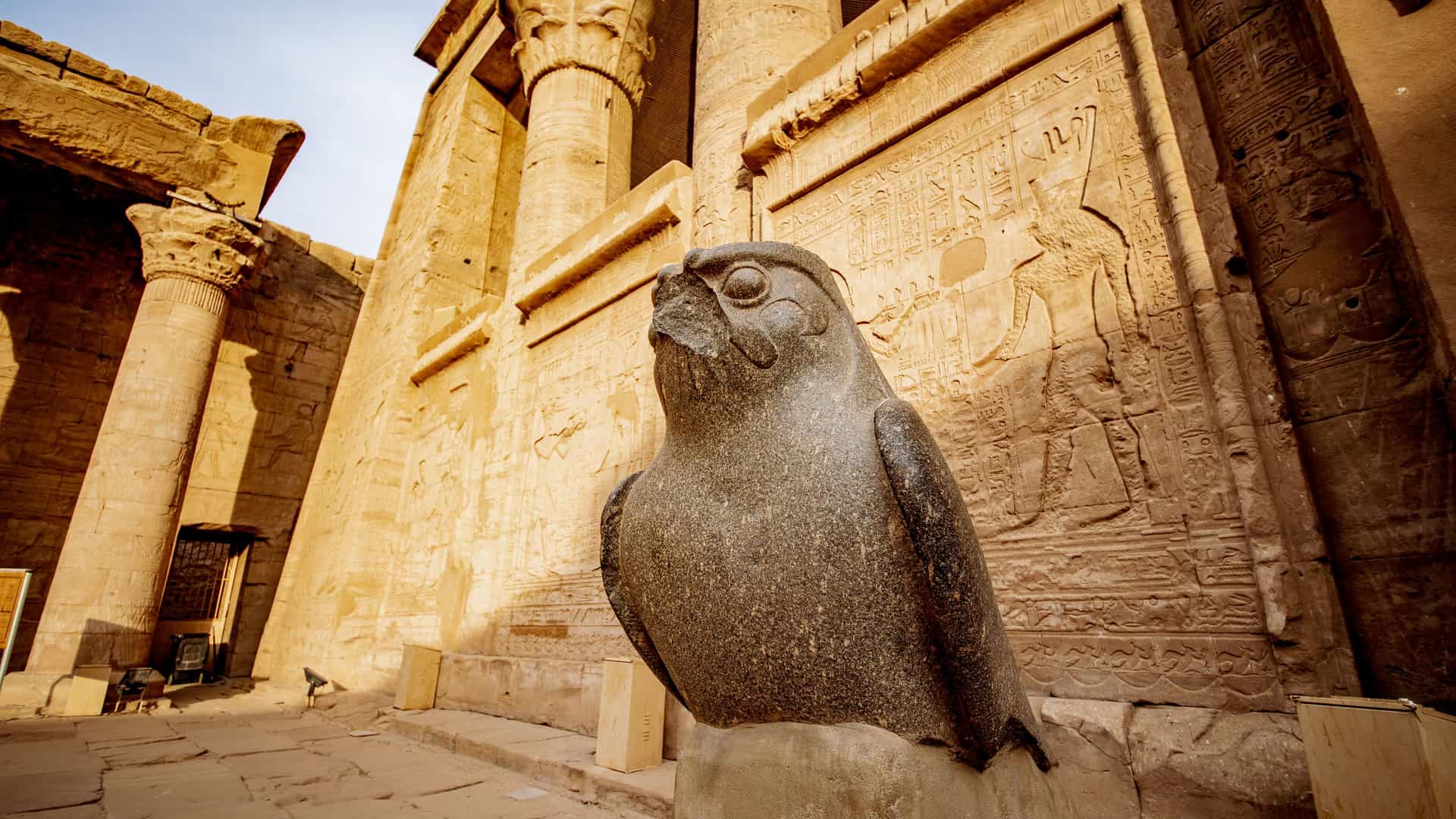 A majestic statue of the god Horus, in the form of a falcon, standing guard at the entrance of the Temple of Horus in Edfu, Egypt. The statue is positioned in the foreground with the temple's carved stone walls and columns in the background.