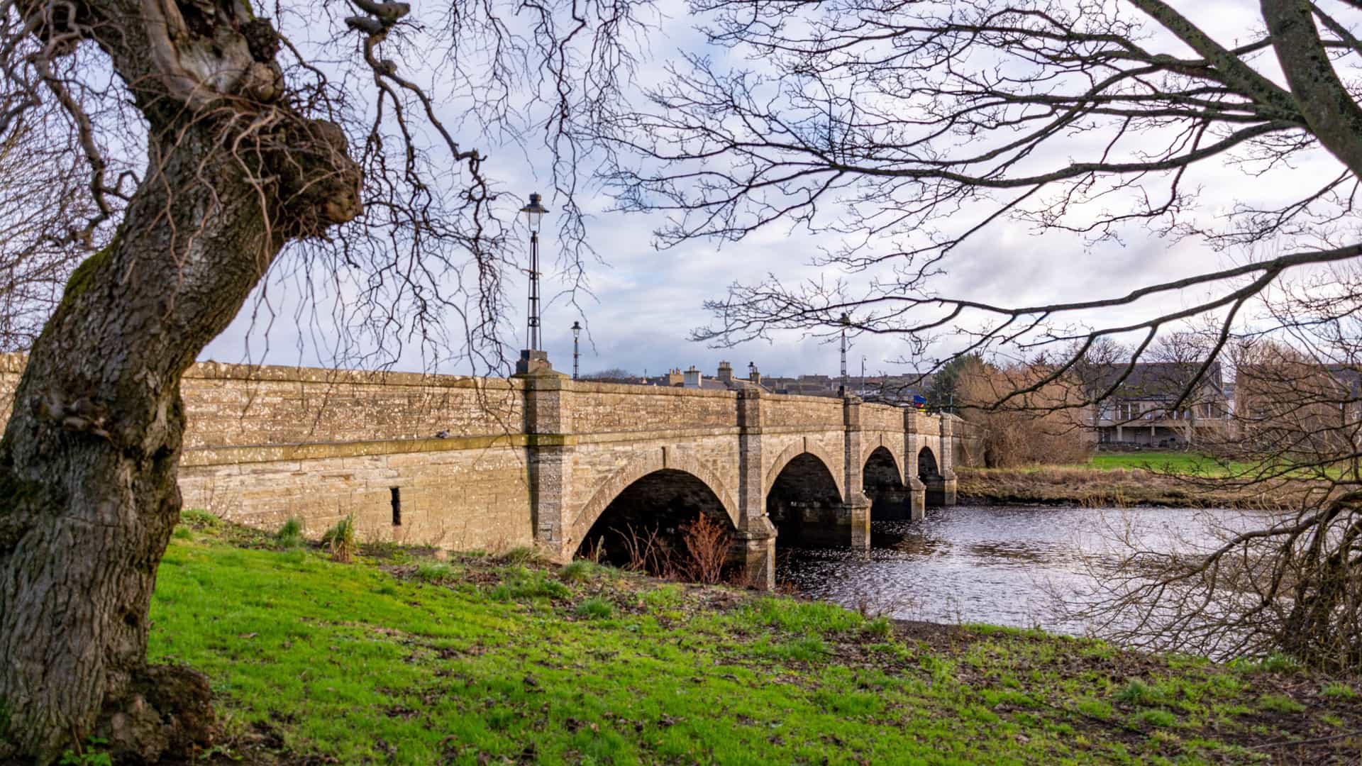 "A wide stone bridge with multiple arches spans the river in Thurso, Scotland, with a grassy bank and a tree with bare branches in the foreground.  "