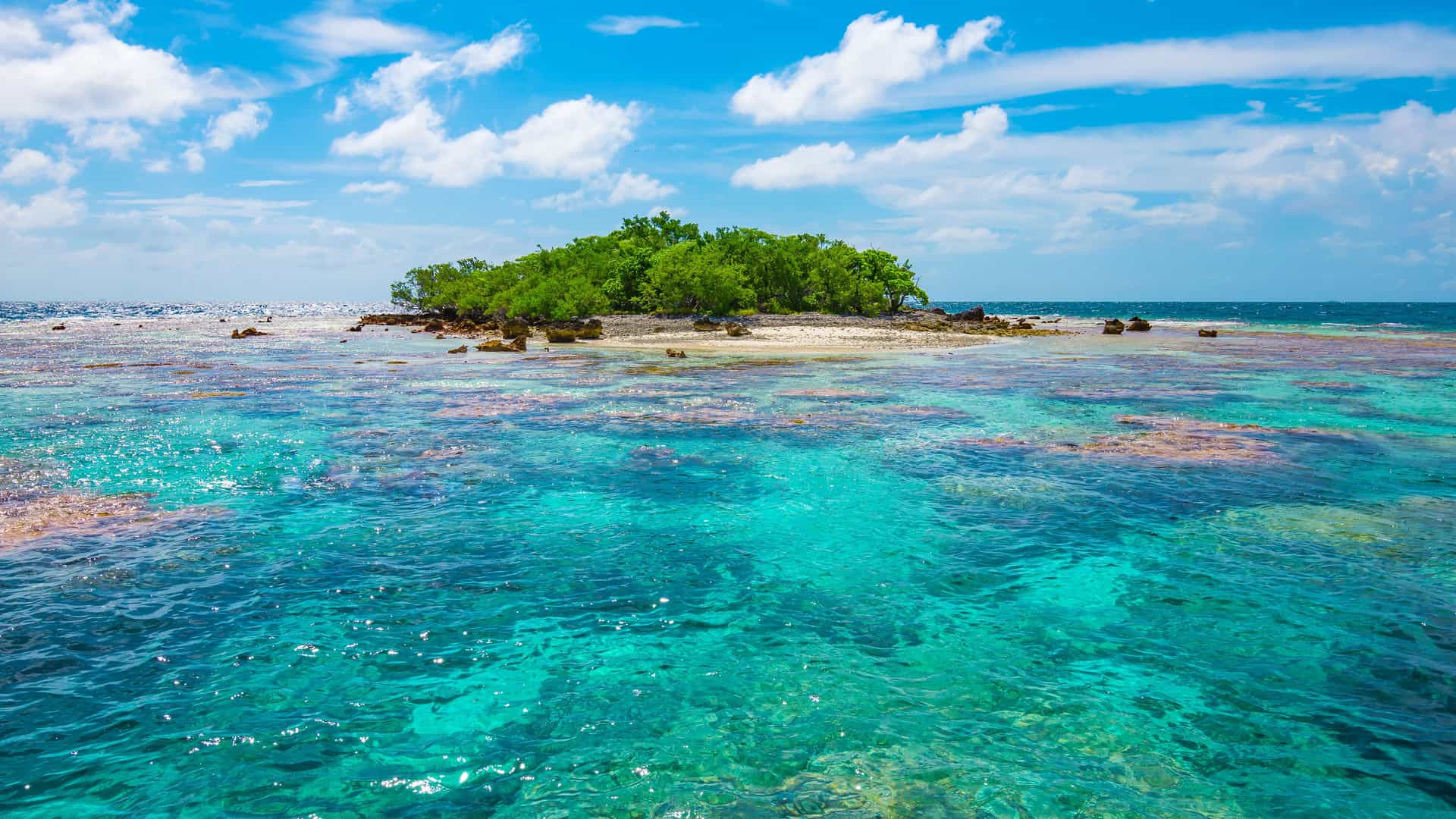 "A stunning aerial shot of a small, lush green motu, or islet, surrounded by a vibrant coral reef in the crystal-clear turquoise waters of the Tuamotu Archipelago, French Polynesia.  "