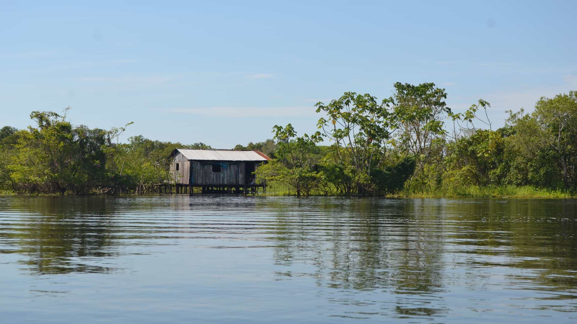 A wooden house on stilts stands at the edge of the dense, green Amazon rainforest along the tranquil Ucayali River in Peru.