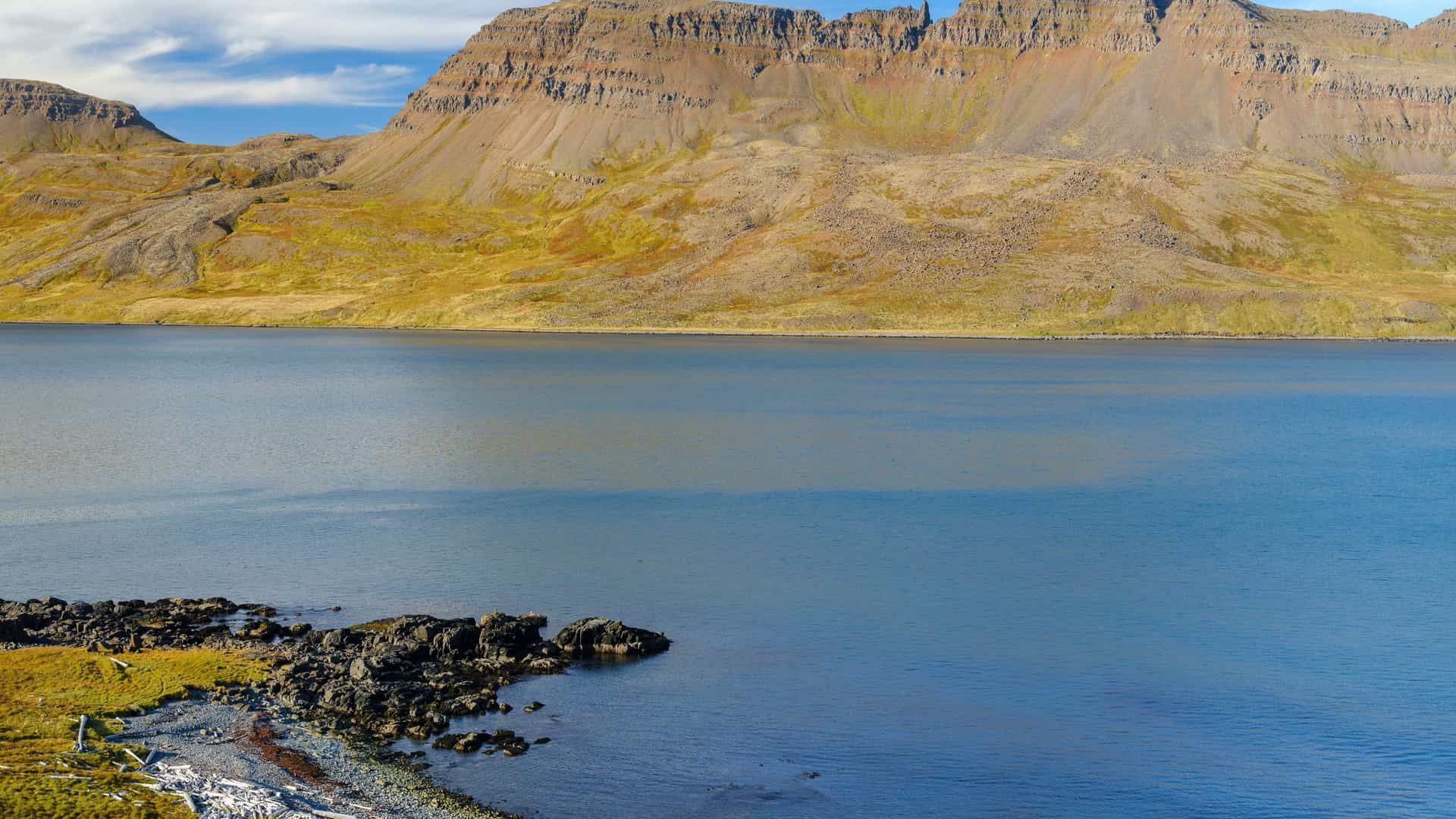 A wide shot of the calm, blue waters of Veidileysufjordur fjord in Iceland, with the dramatic, craggy cliffs of the fjord and patches of green moss in the background.
