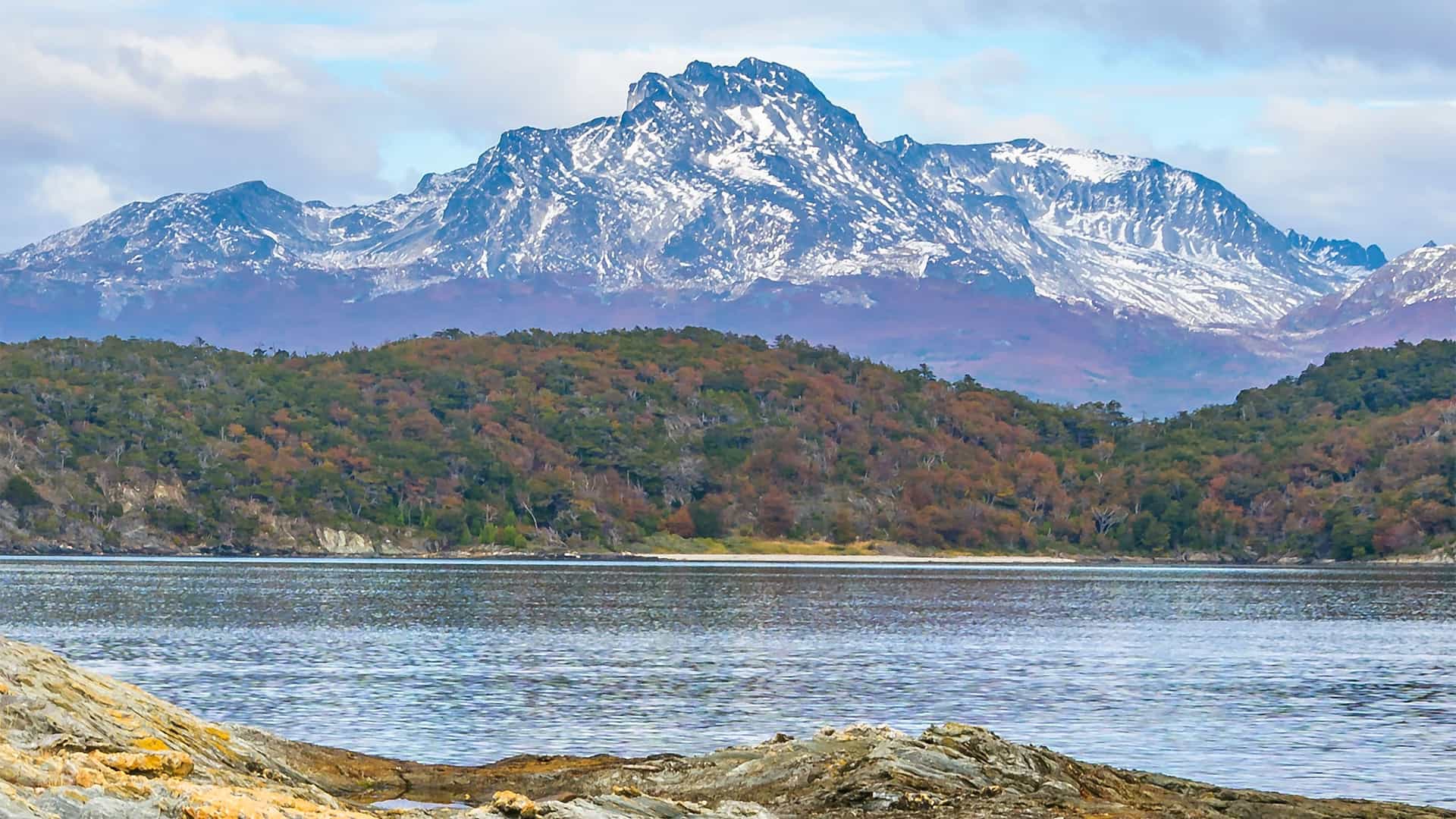 A beautiful landscape shot of a snow-capped mountain range, with a forested hillside in the foreground and a calm body of water below, taken in the Wide Channel of the Chilean fjords.