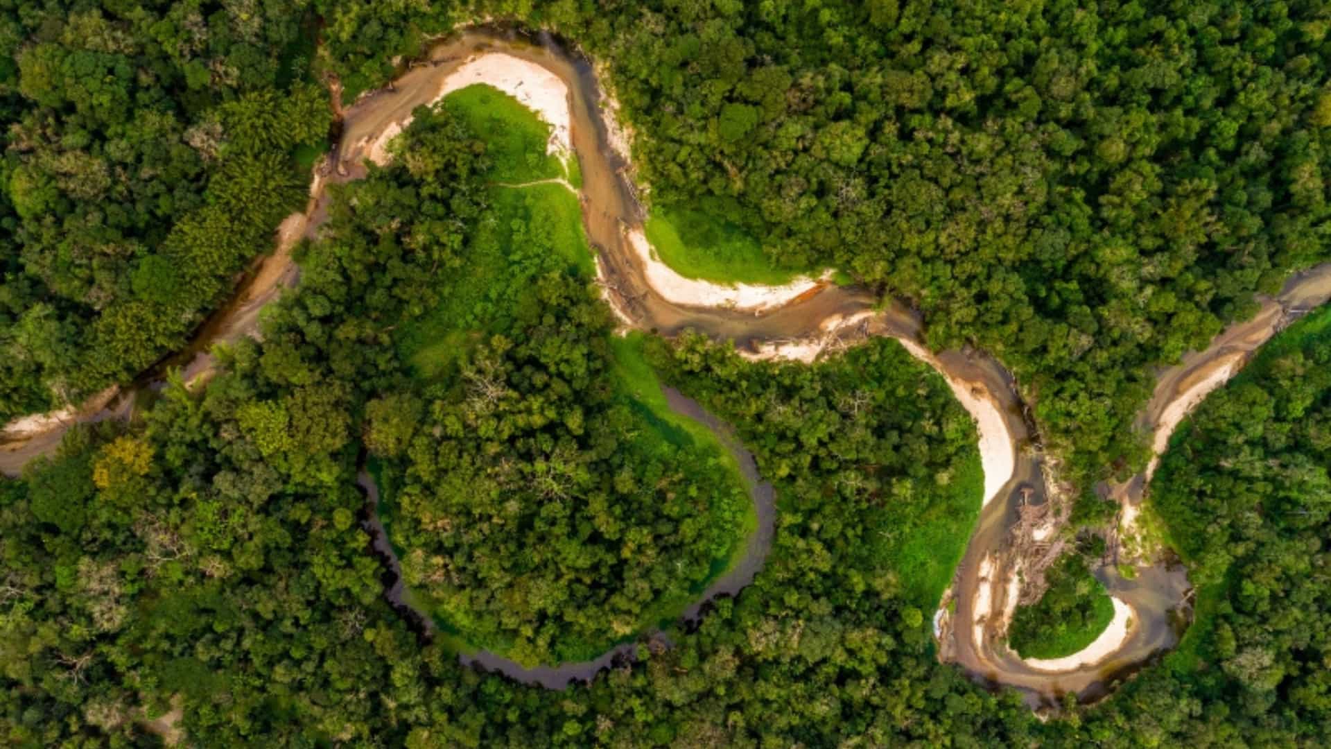 An aerial shot of a brown, winding river cutting through the dense, green canopy of the Amazon rainforest in South America. The riverbanks are composed of light-colored sand and the water has a swirling, fluid pattern. The surrounding forest is a vibrant mix of different shades of green, with some areas appearing darker and others lighter, showcasing the immense scale and biodiversity of the Amazonian ecosystem.