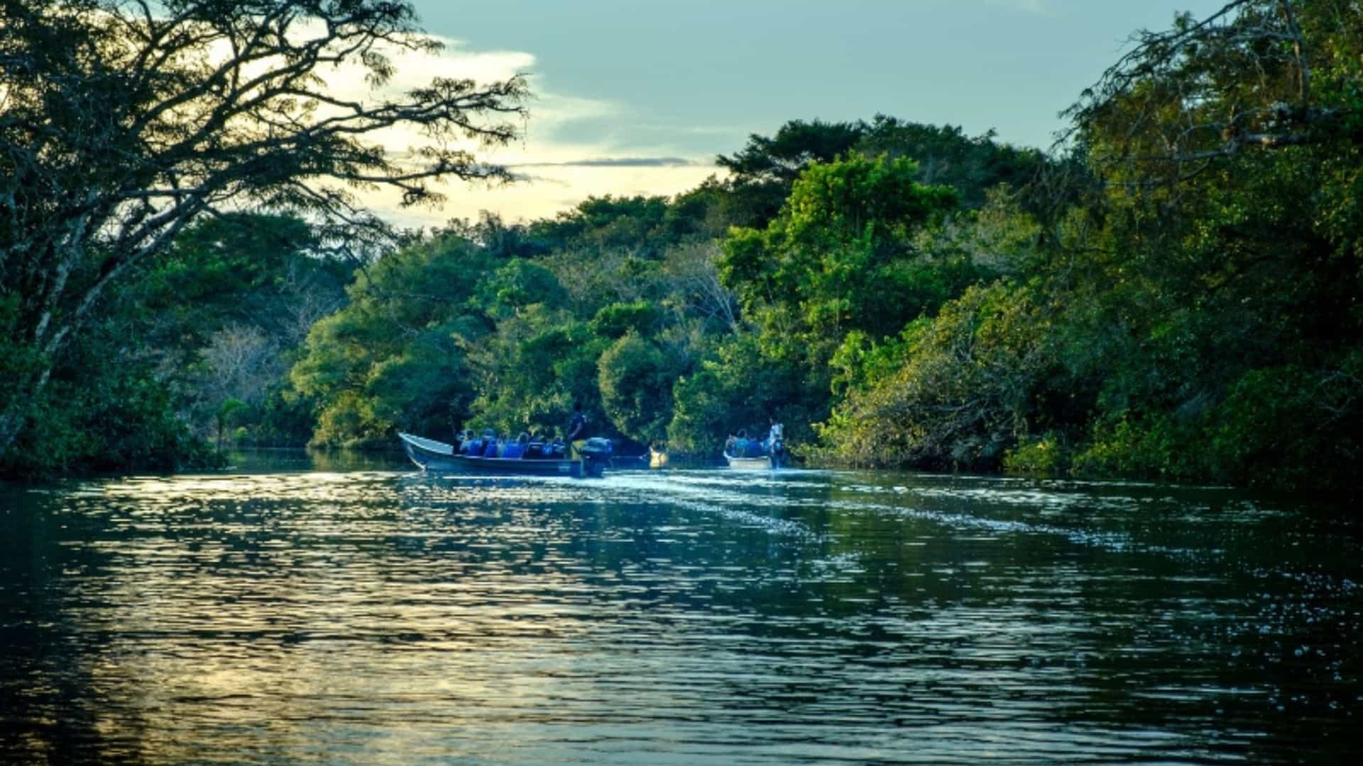 A view of two motorboats carrying tourists on a calm, dark river, likely in the Amazon rainforest of South America. The boats are moving away from the viewer, creating a wake on the water's surface. The river is surrounded by a dense wall of lush green trees, with sunlight filtering through the leaves and reflecting on the water. The sky is a mix of blue and soft clouds, suggesting either sunrise or sunset. The image captures the feeling of a river safari or tour within the rich, natural environment of the Amazon.