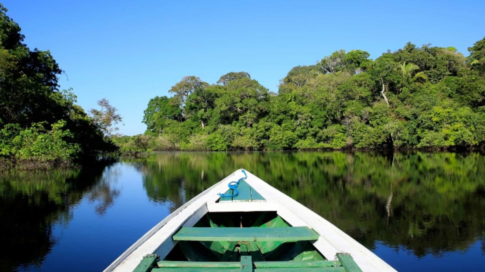 A serene, first-person view from the front of a small boat traveling on a calm, dark river in the Amazon rainforest of Brazil. The boat's white and green bow is in the foreground, with the water's surface reflecting the lush, green trees and a clear, blue sky. The dense jungle foliage lines both sides of the river, creating a tunnel-like effect. The image captures the peaceful and immersive experience of exploring the vast, natural waterways of the Amazon region.