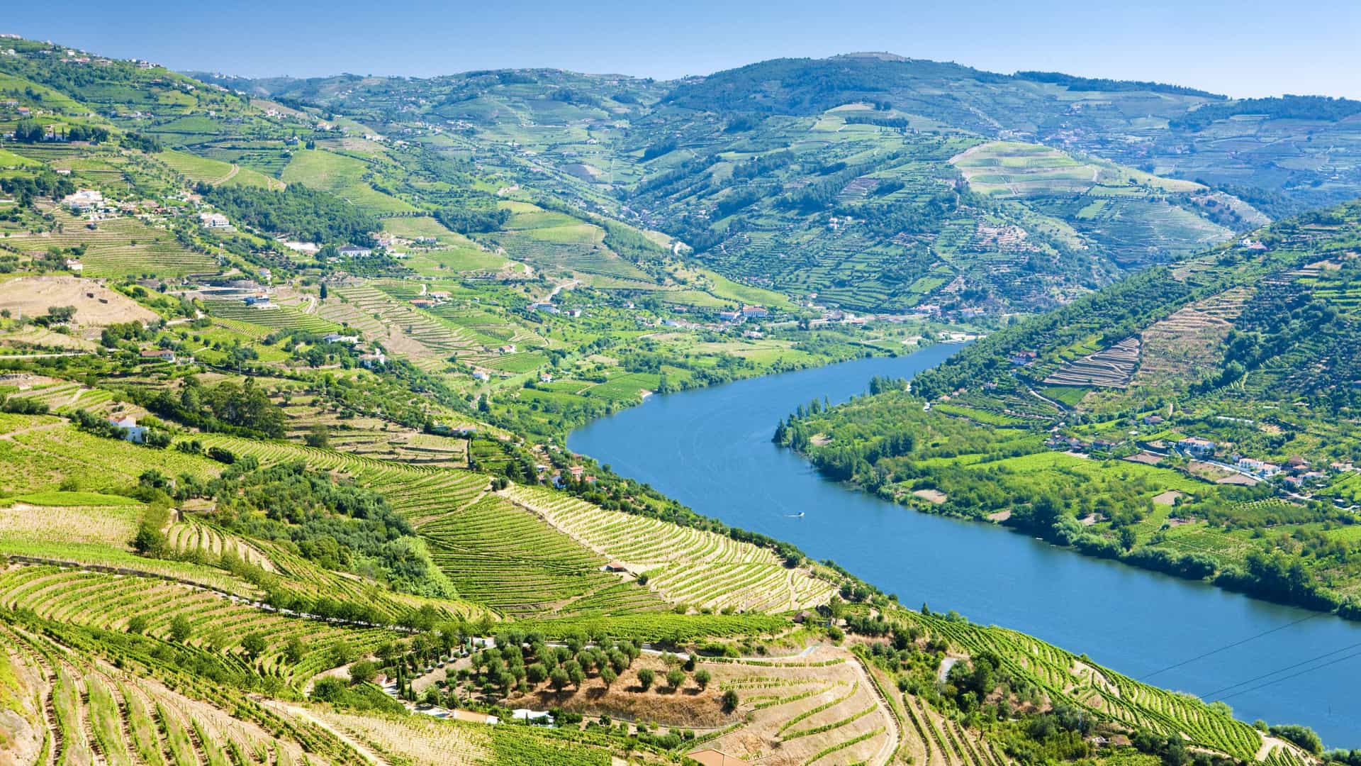An aerial view of the terraced vineyards and beautiful landscapes along the Douro River in Portugal, a popular destination for a Viking River cruise.