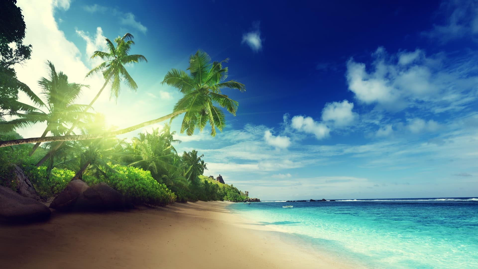 Tropical beach with granite boulders in Seychelles.