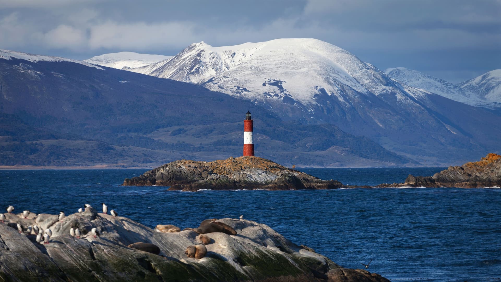 A striking image of Les Éclaireurs Lighthouse on a small rocky islet in the Beagle Channel, with seals and sea lions resting nearby and snow-capped mountains in the background.