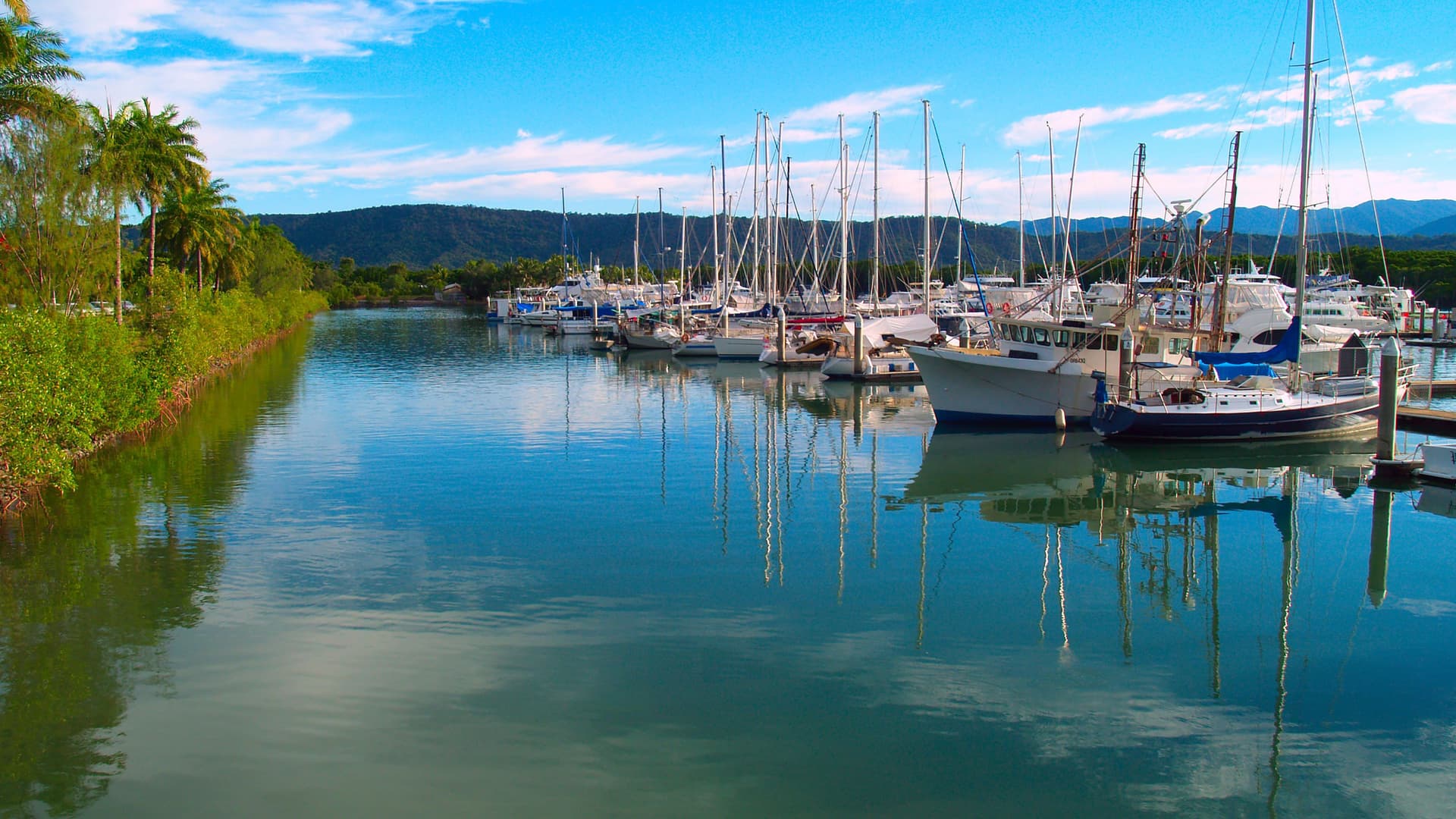 A tranquil marina in Port Douglas, Australia, filled with sailboats and yachts reflected in the calm water, with a lush green shoreline and mountains in the background.