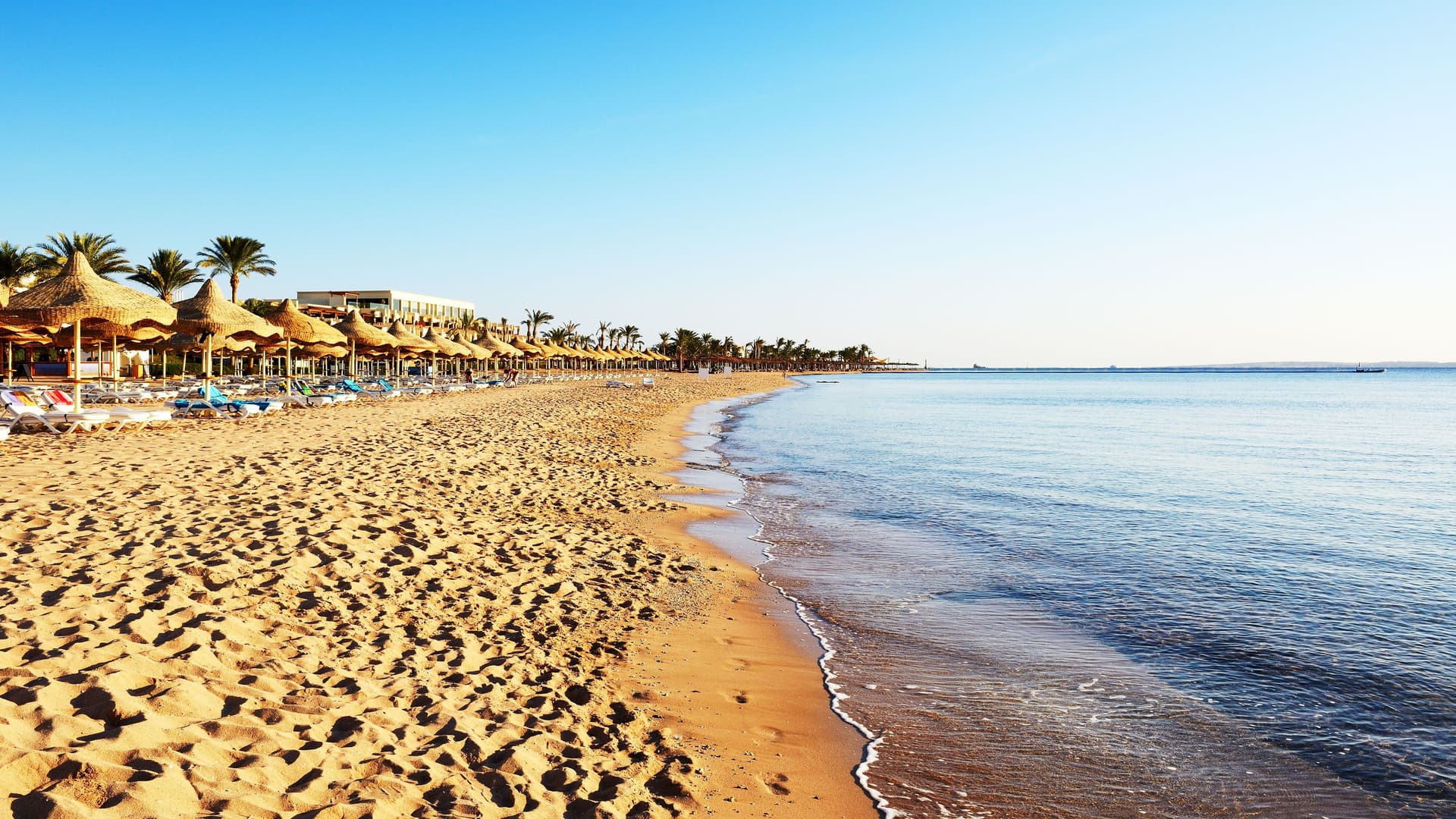 A serene shot of the sandy beach in Sharm El Sheikh, Egypt, with rows of thatched umbrellas and palm trees lining the shore next to the calm Red Sea.