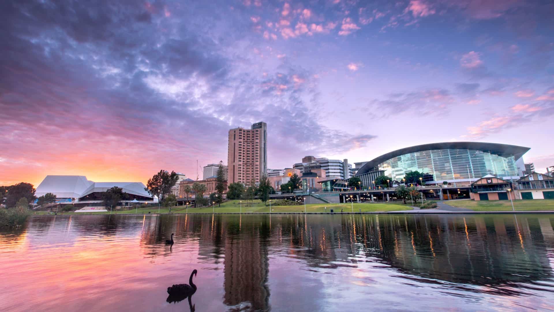 The skyline of Adelaide, Australia, visible over a lake, featuring a swan peacefully.