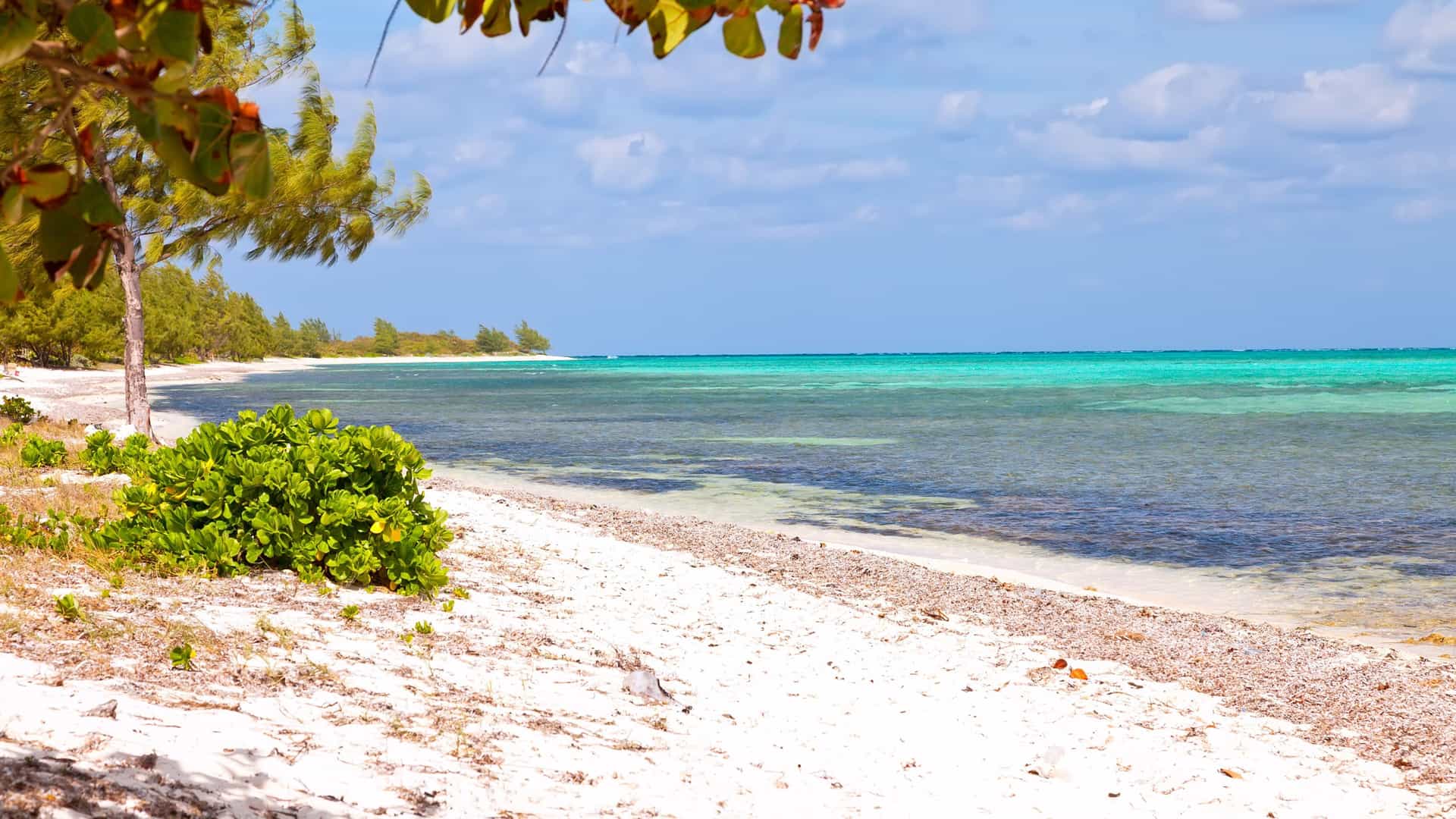 Western Caribbean: Idyllic white sand beach with turquoise waters, a perfect Cunard cruise destination.