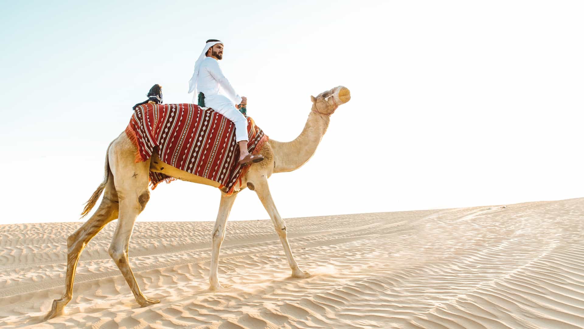 A man wearing a traditional white dishdasha is walking through a sandy desert, leading a camel with a rope. The scene is set in Dubai, with the sand dunes and a bright sky forming the background. The man is facing away from the camera, and the camel is walking alongside him.
