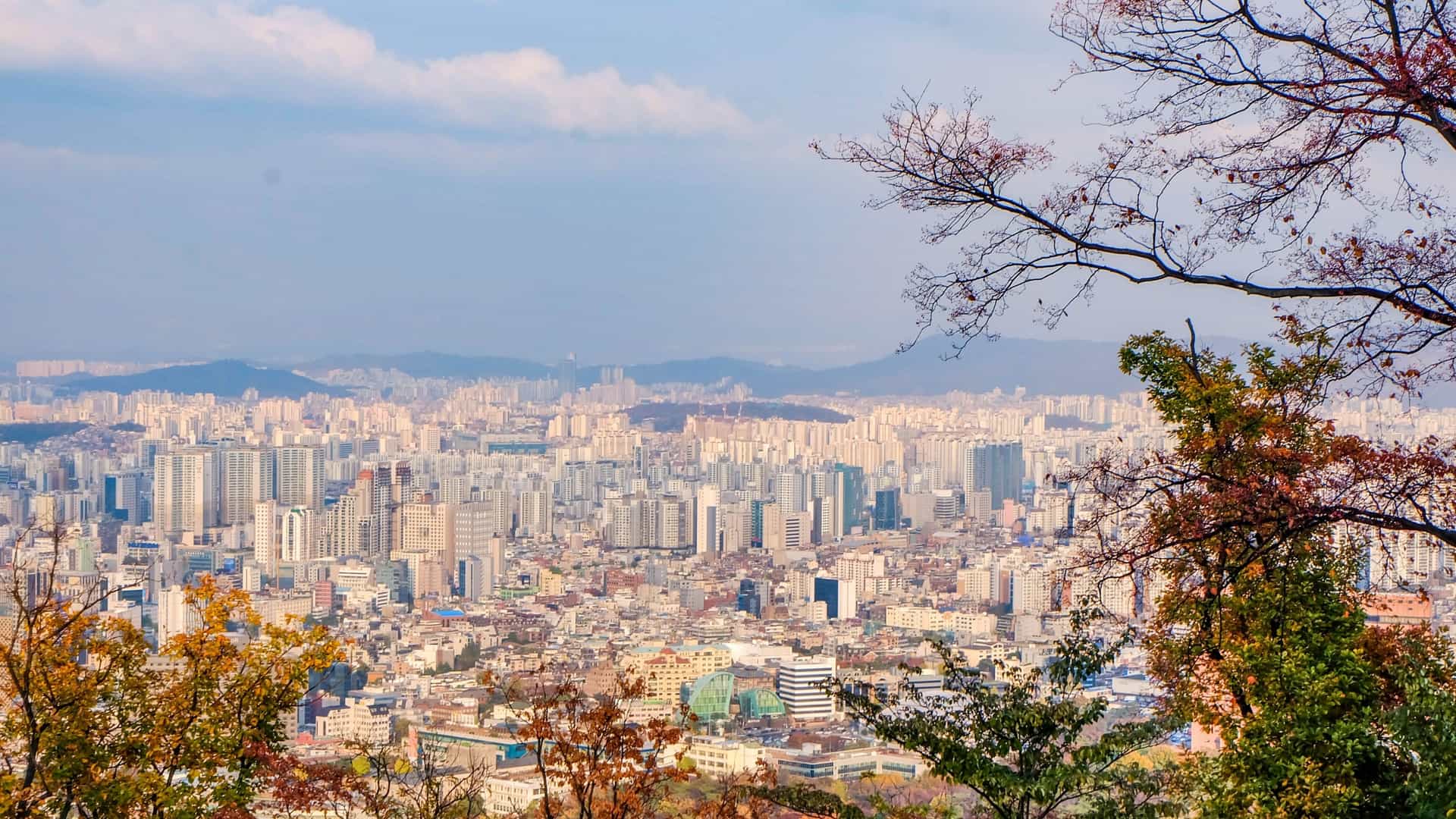 A wide angle view of the dense Seoul cityscape, featuring a vast expanse of high rise buildings and modern skyscrapers, with the iconic black and white N Seoul Tower (Namsan Tower) prominently visible on a wooded mountain peak in the distance.