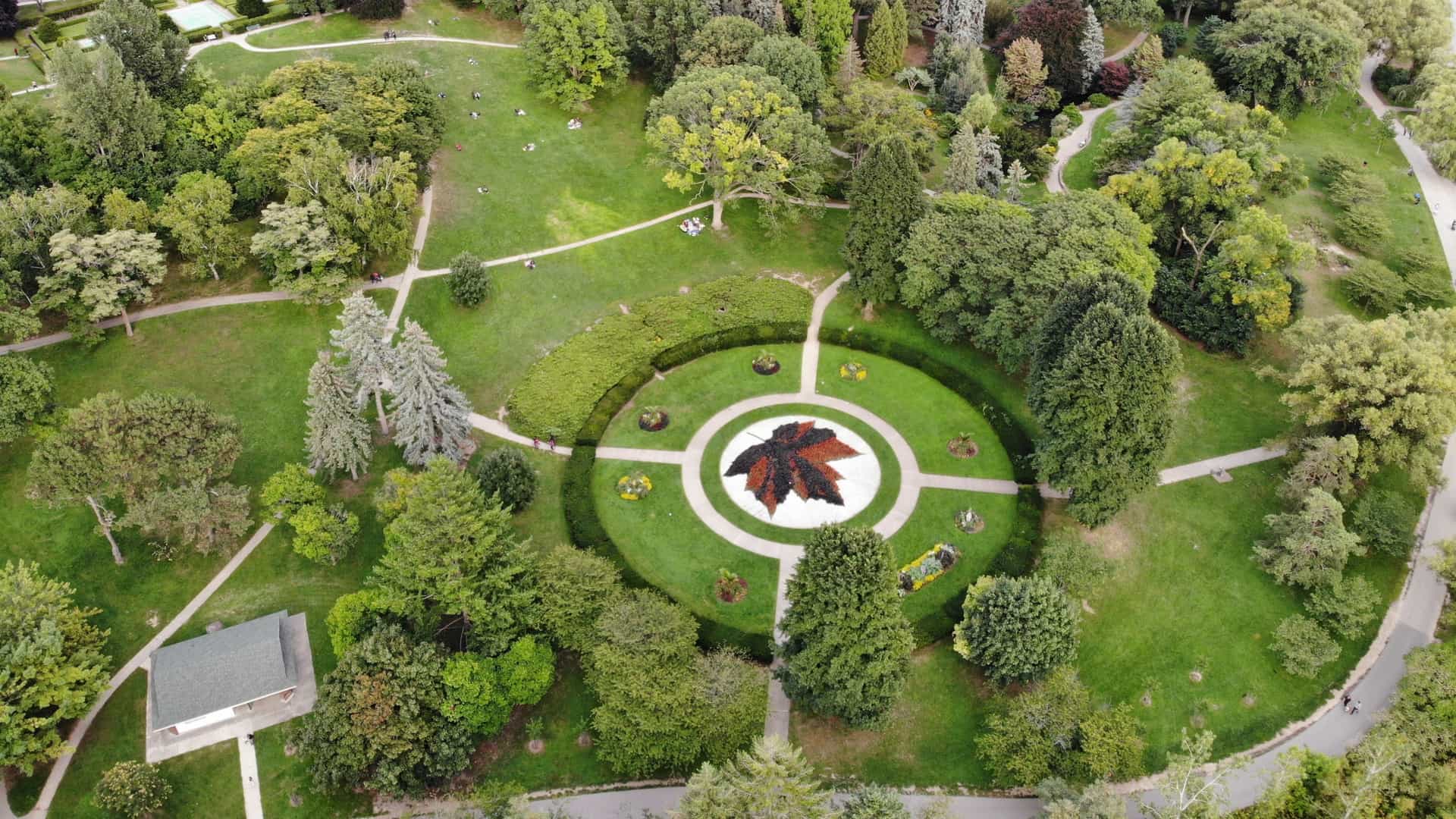 A high angle aerial view of High Park in Toronto, showing a sprawling urban parkland densely covered in green trees, likely in the late summer or fall. A large body of water, Grenadier Pond, is visible within the park's boundaries. The park's natural landscape contrasts with the distant city skyline, which may be visible in the background.