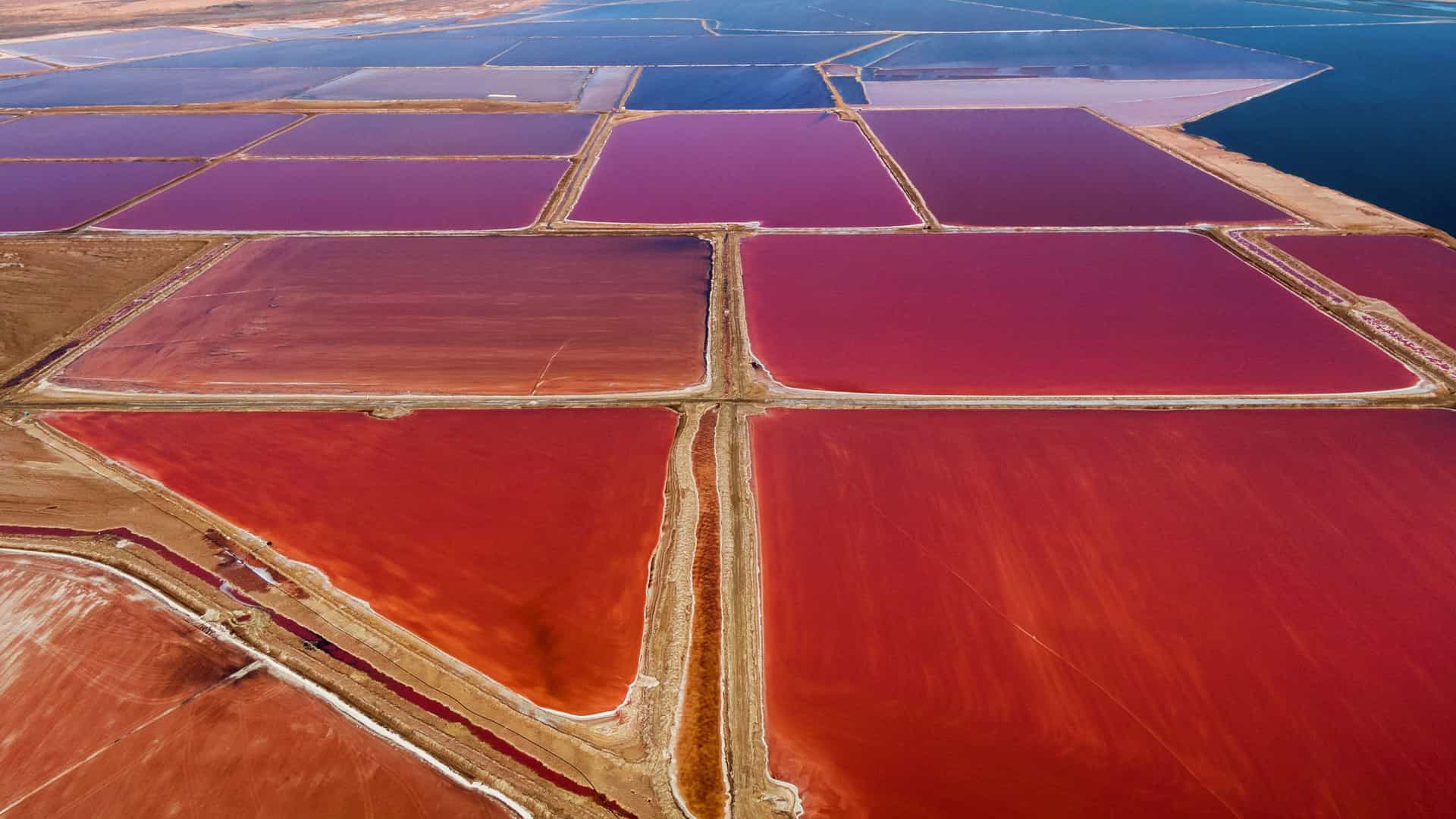 An aerial view of the Walvis Bay salt pans in Namibia, showing a geometric pattern of industrial scale evaporation ponds. The water in the pans exhibits vivid colors, ranging from bright pink and red to white and turquoise, indicative of varying salinity levels and algae, contrasted with the surrounding dry landscape.