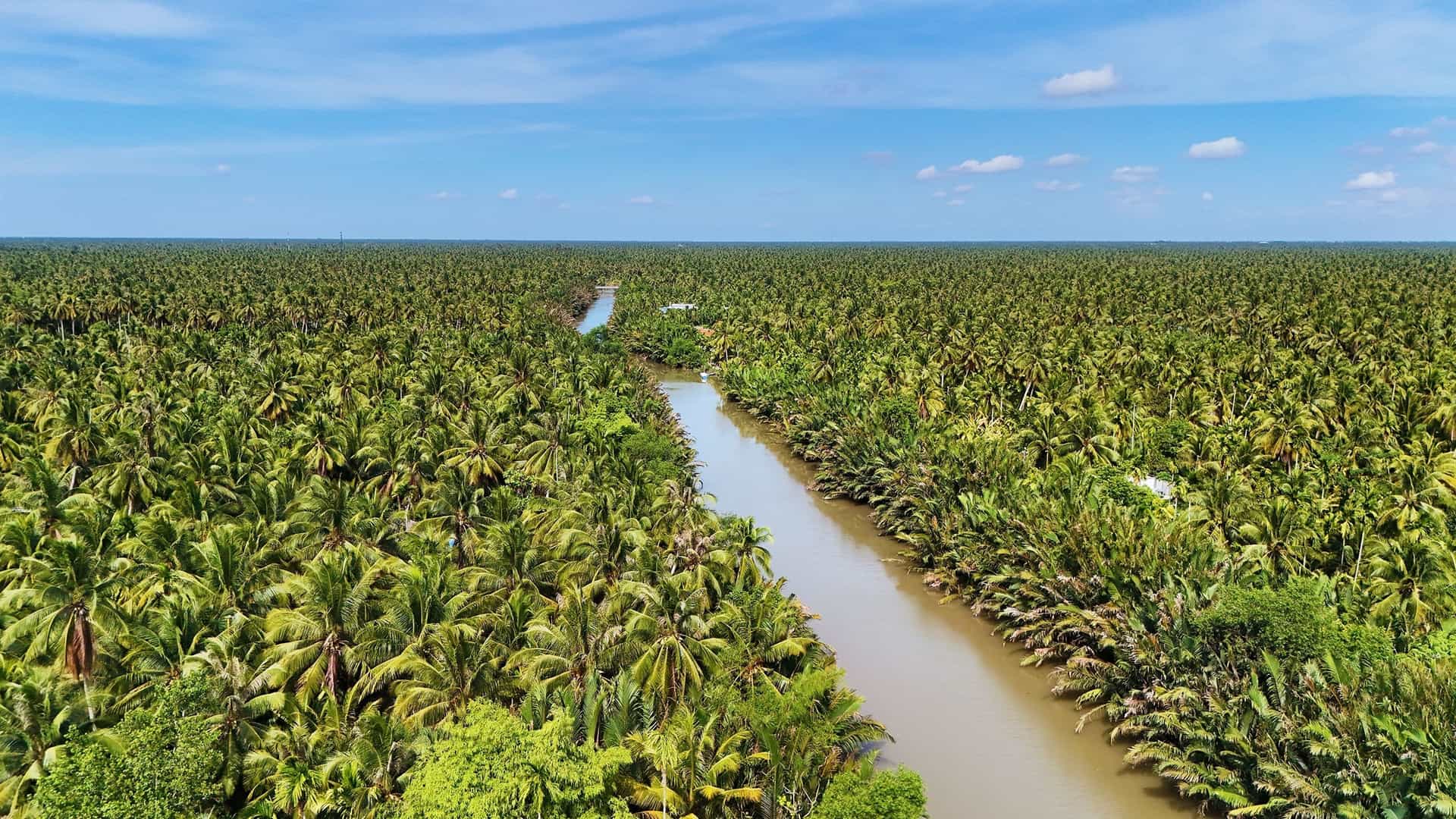Overhead shot of the Mekong River flowing through dense tropical greenery.