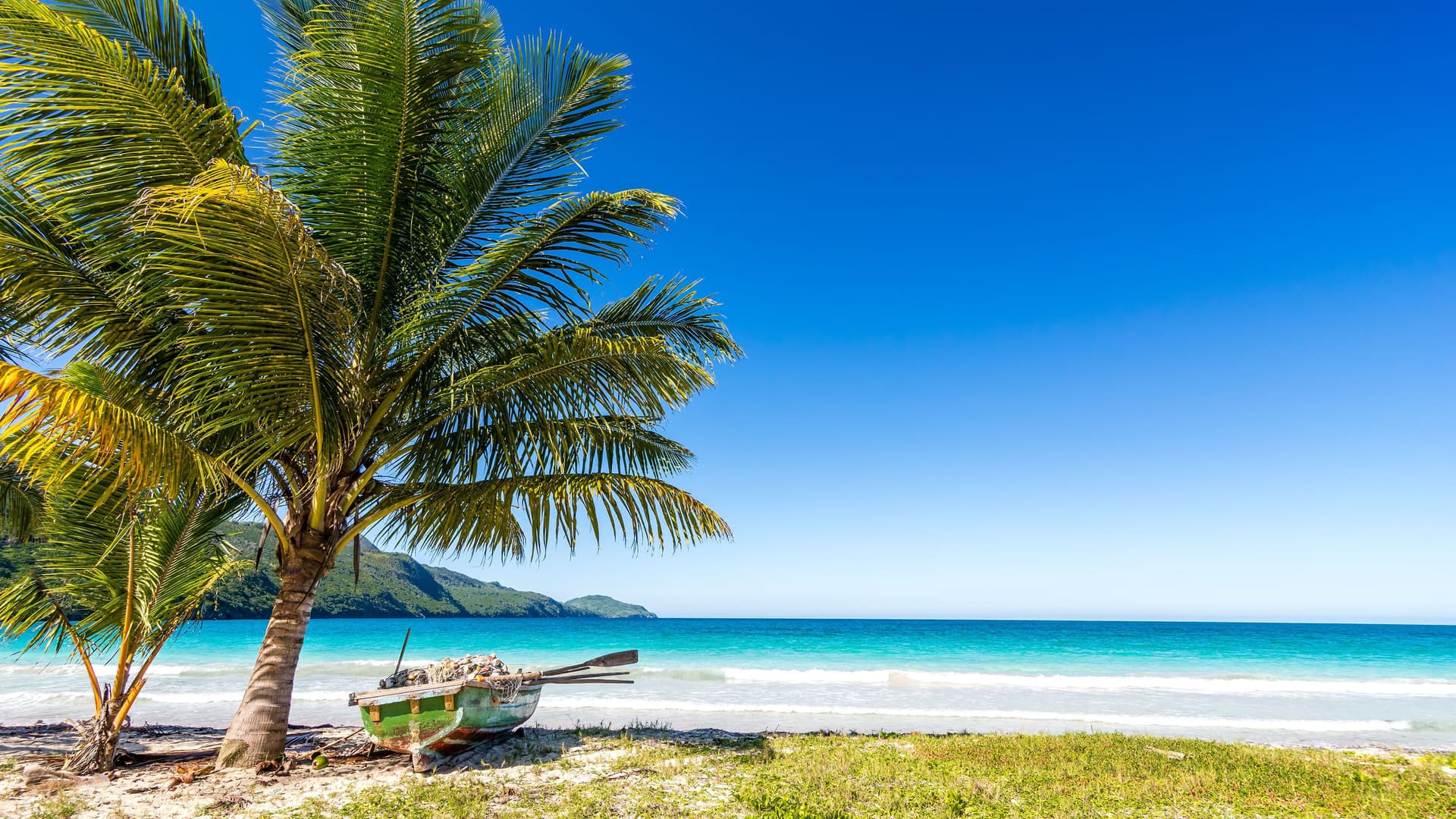 A sunny, idyllic beach scene in Amber Cove, Dominican Republic, with a small boat and paddle resting under a palm tree beside the turquoise ocean and a clear blue sky.