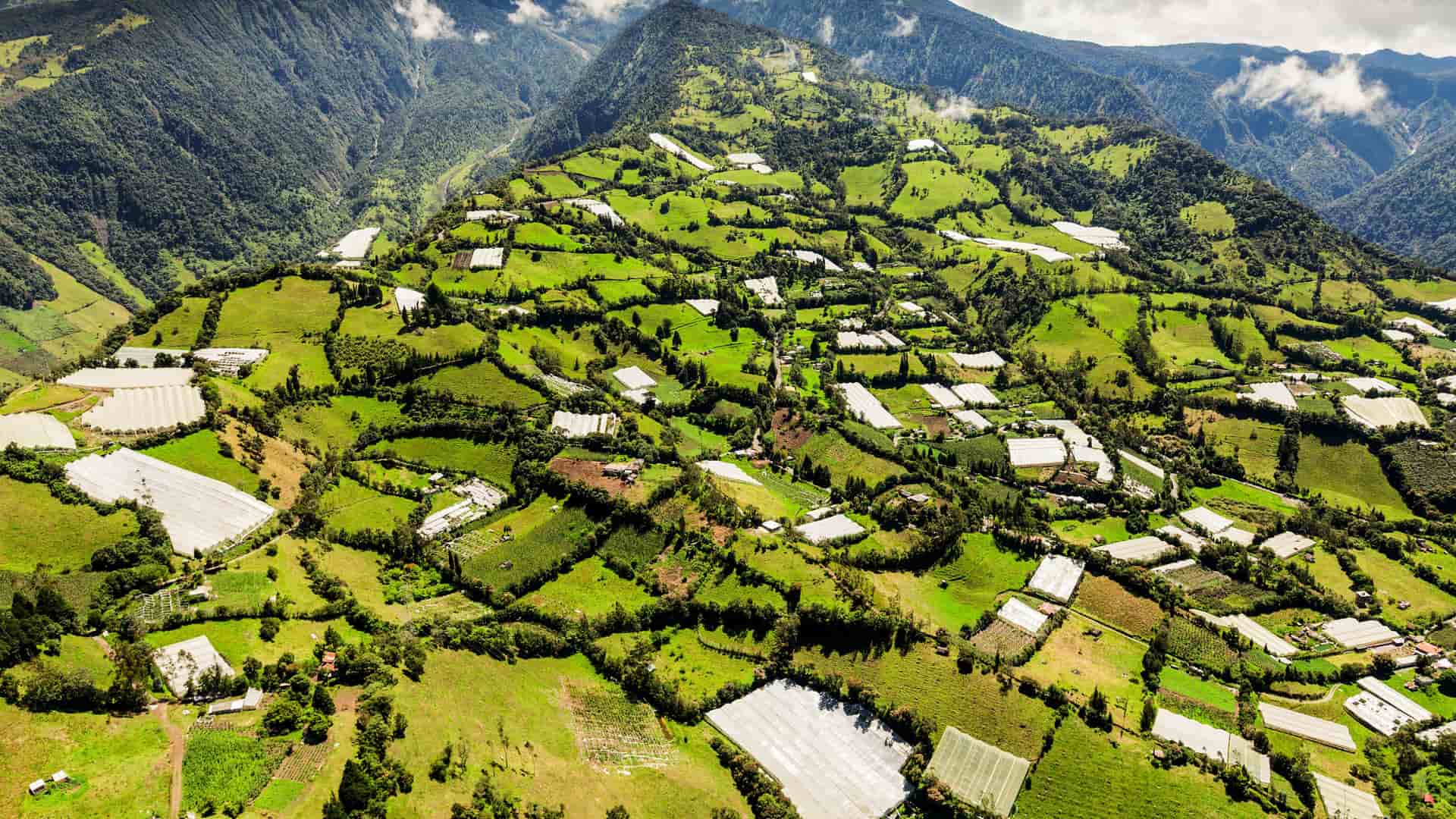 An aerial view of the steep, green hillsides near BaƱos, Ecuador. The land is a vibrant mosaic of small agricultural fields and numerous white, plastic-covered greenhouses, creating a striking patchwork pattern on the mountain slopes under a partly cloudy sky.