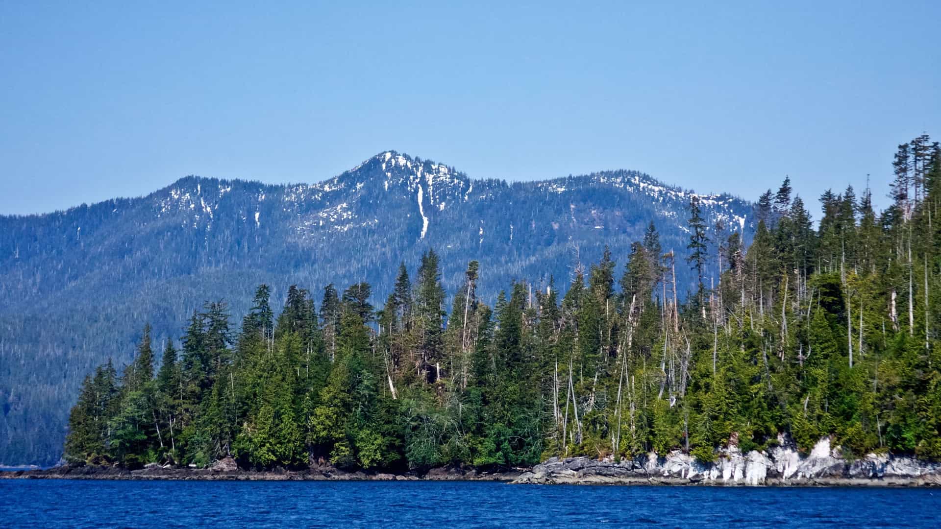 A view of Behm Canal in Alaska, with a dense forest of evergreen trees along the rocky shoreline and a snow-dusted mountain rising in the background.