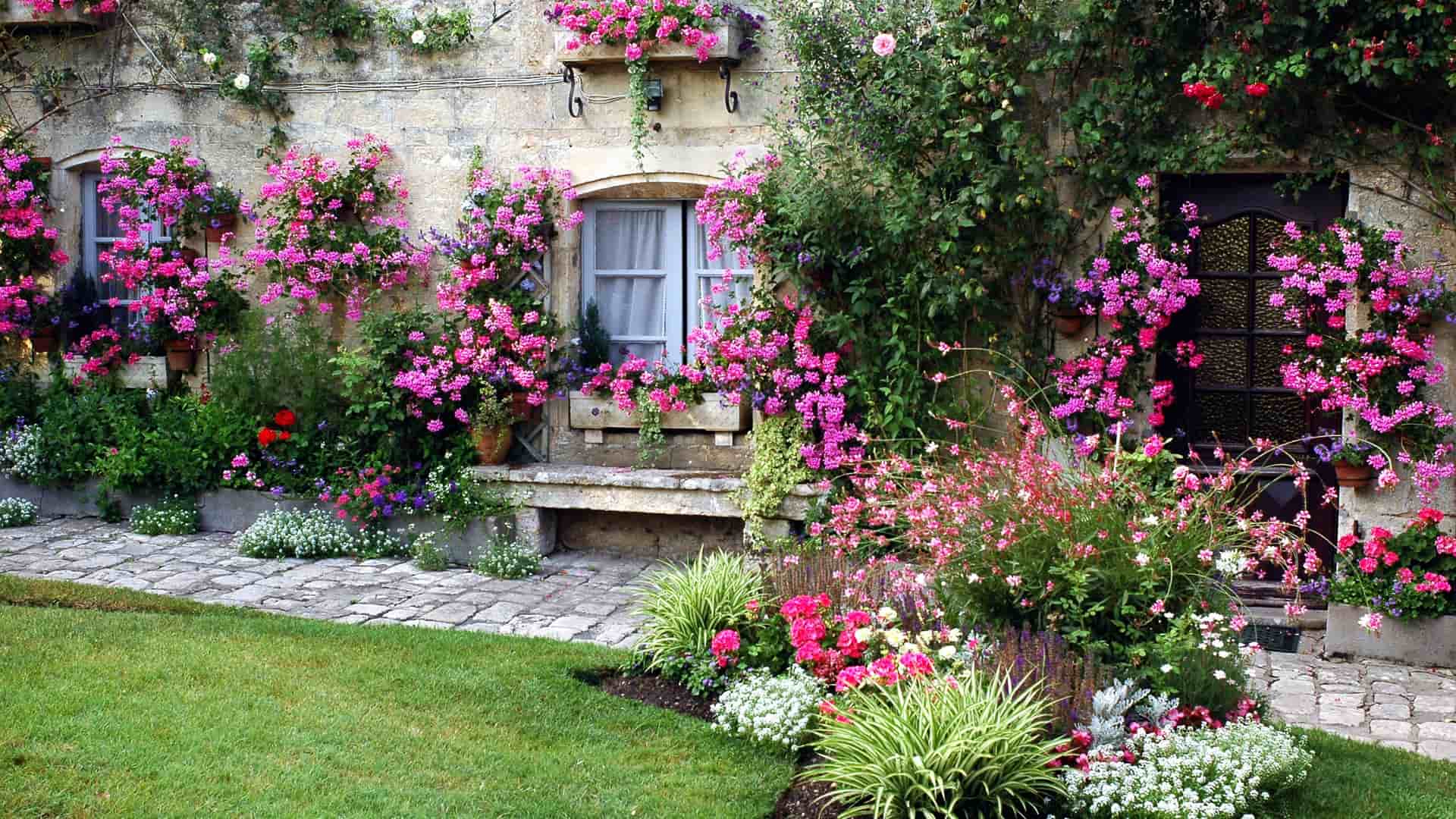 A picturesque stone house in Blaye, France, with a charming garden overflowing with vibrant pink and red flowers, climbing ivy, and manicured green grass.