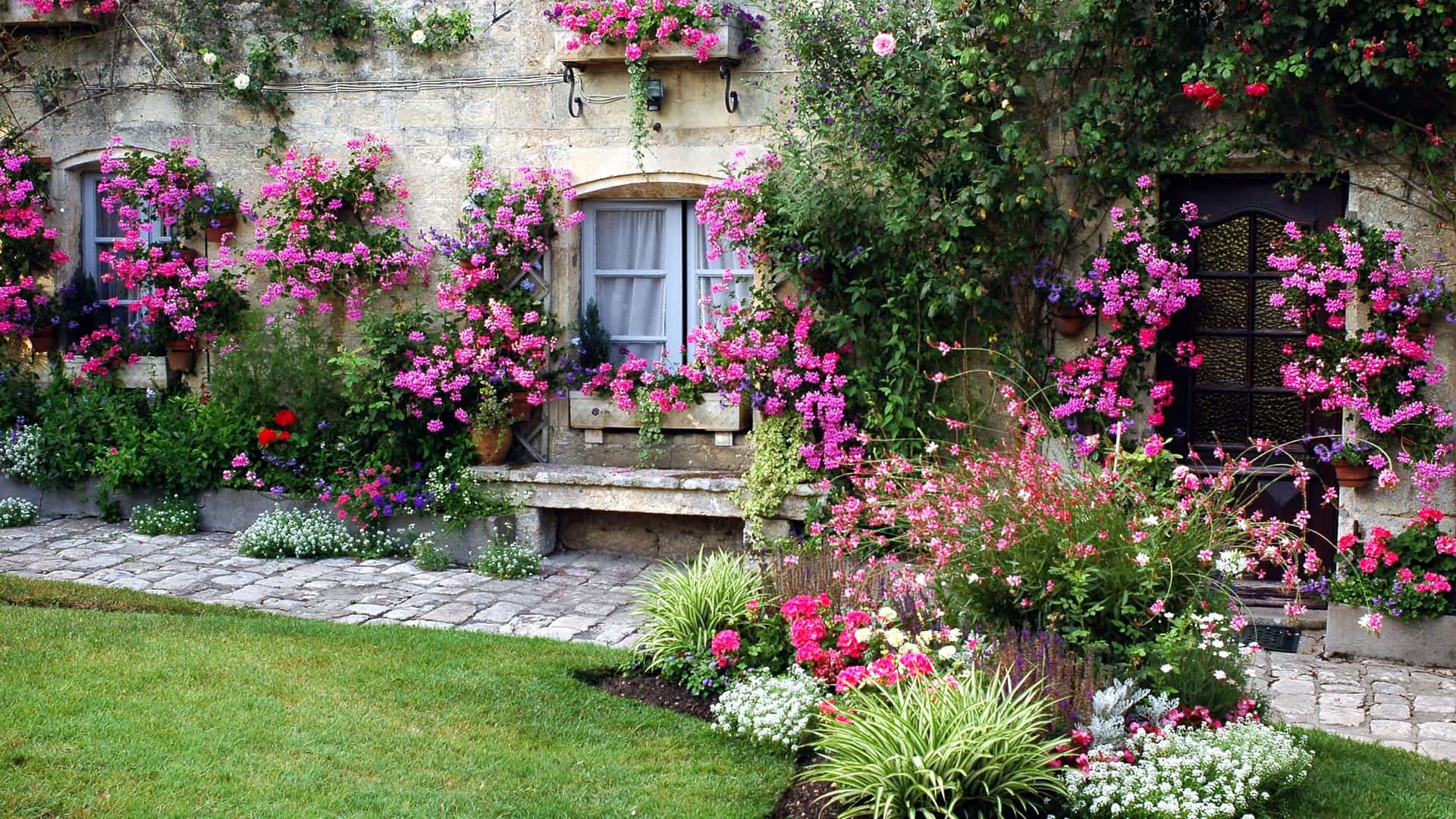 A picturesque stone house in Blaye, France, with a charming garden overflowing with vibrant pink and red flowers, climbing ivy, and manicured green grass.