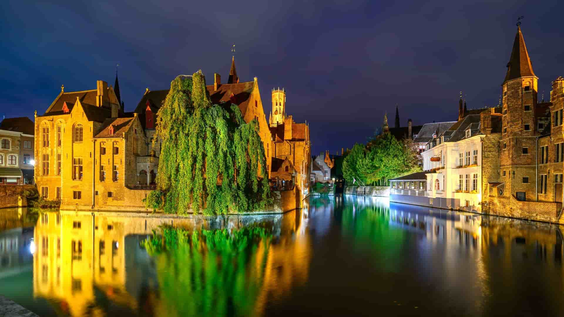 A beautiful nighttime view of Bruges' canals, showcasing historic, illuminated buildings and trees reflecting on the still water.
