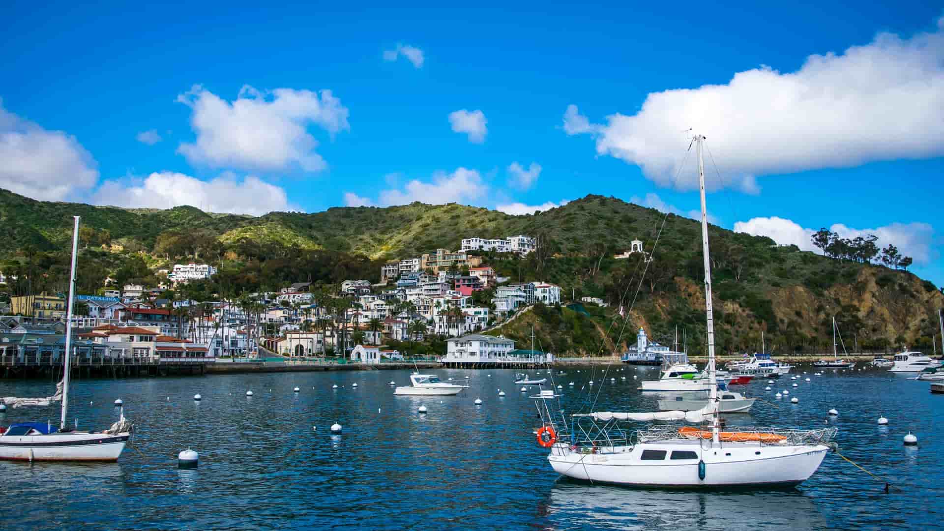 A picturesque view of Avalon Harbor on Catalina Island, California, with sailboats and yachts moored in the bay in front of a hillside village.