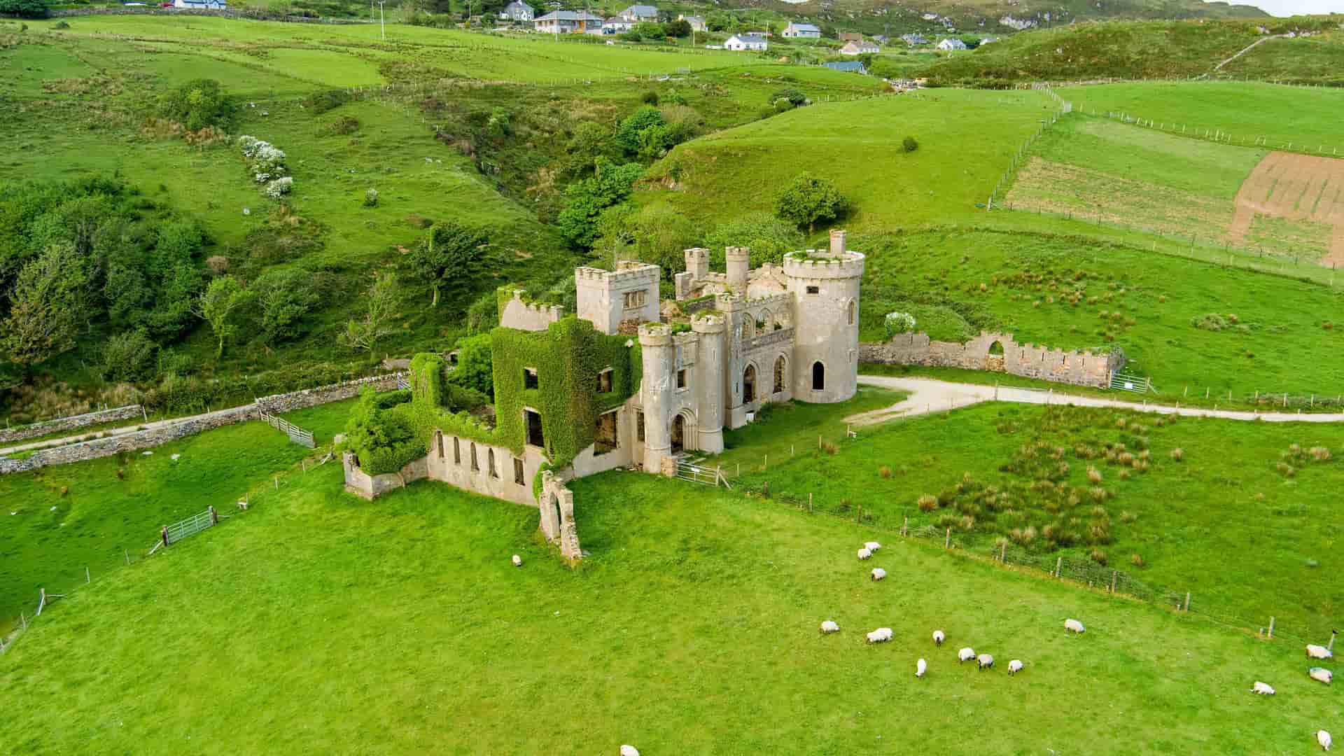 An aerial view of the historic and overgrown Clifden Castle ruins, with sheep grazing in the vibrant green fields surrounding it on the scenic Connemara countryside in County Galway, Ireland.