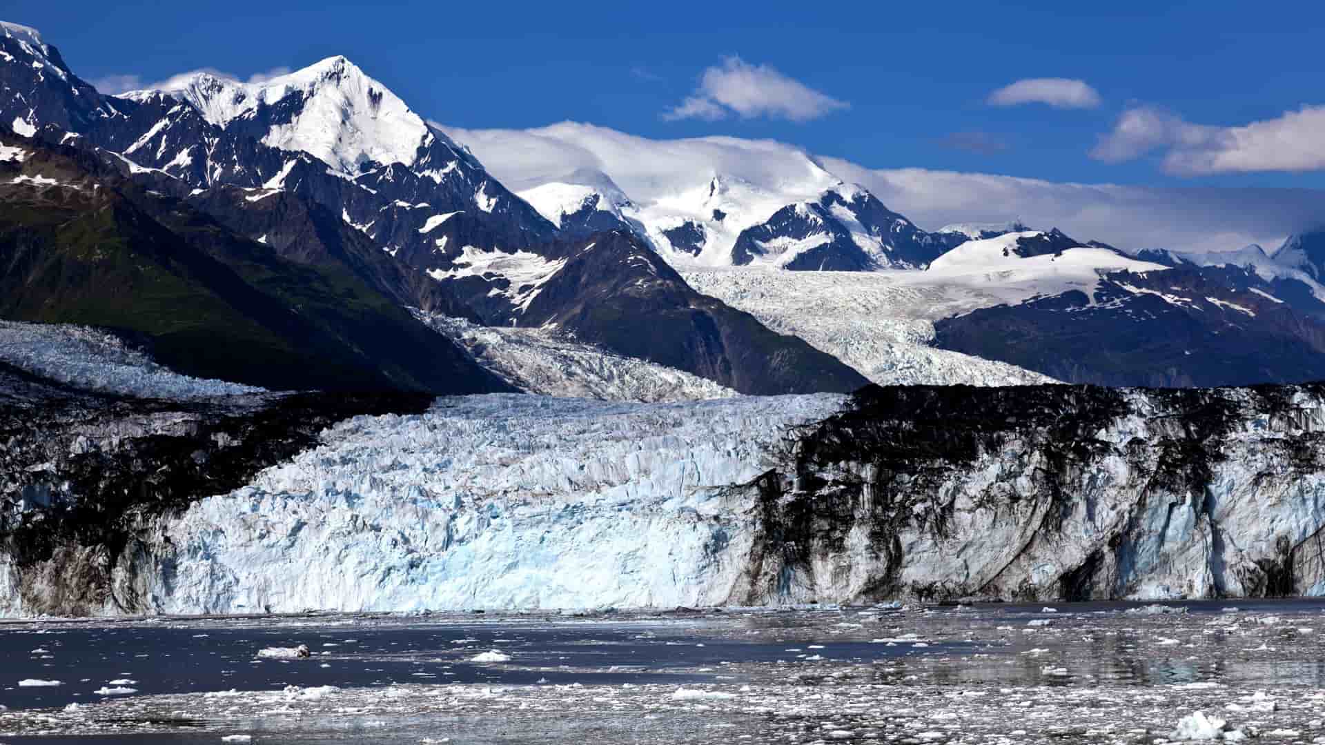A scenic view of College Fjord, with a massive glacier and its icy face in the foreground, and snow-capped mountains under a blue sky in the background.