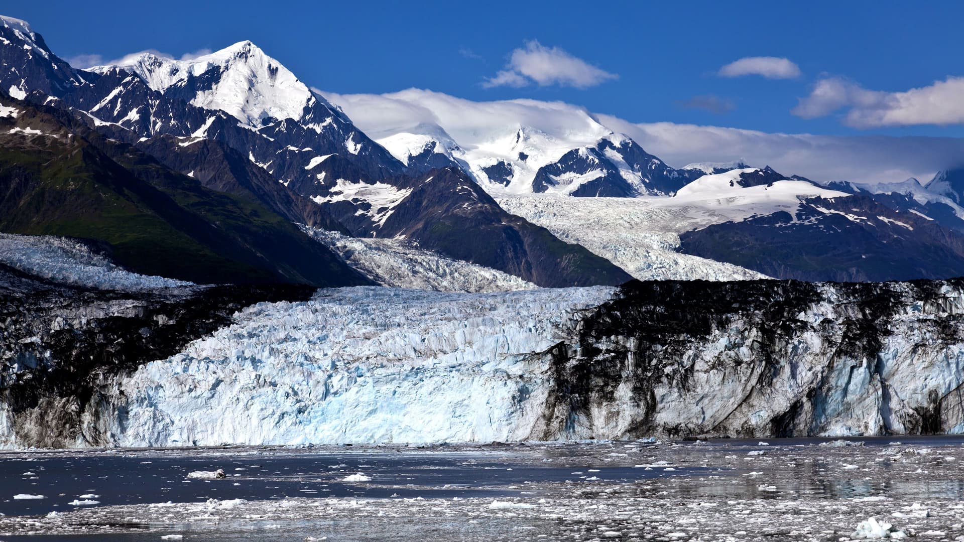 A scenic view of College Fjord, with a massive glacier and its icy face in the foreground, and snow-capped mountains under a blue sky in the background.