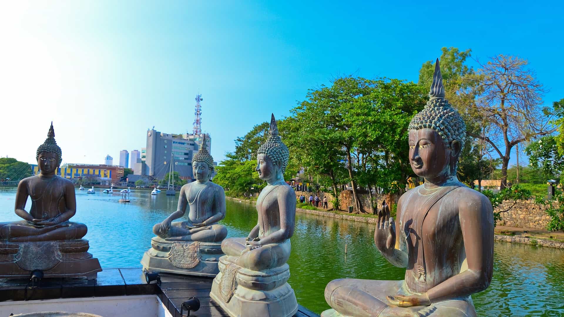 A peaceful view of Colombo's Seema Malaka temple, featuring four Buddha statues in different poses overlooking the calm water of Beira Lake, with the city skyline and trees in the background.