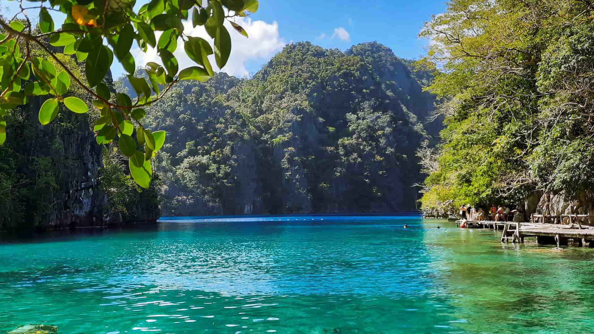 "A stunning view of a clear turquoise lagoon surrounded by towering limestone cliffs and lush greenery in Coron, Palawan, Philippines. "