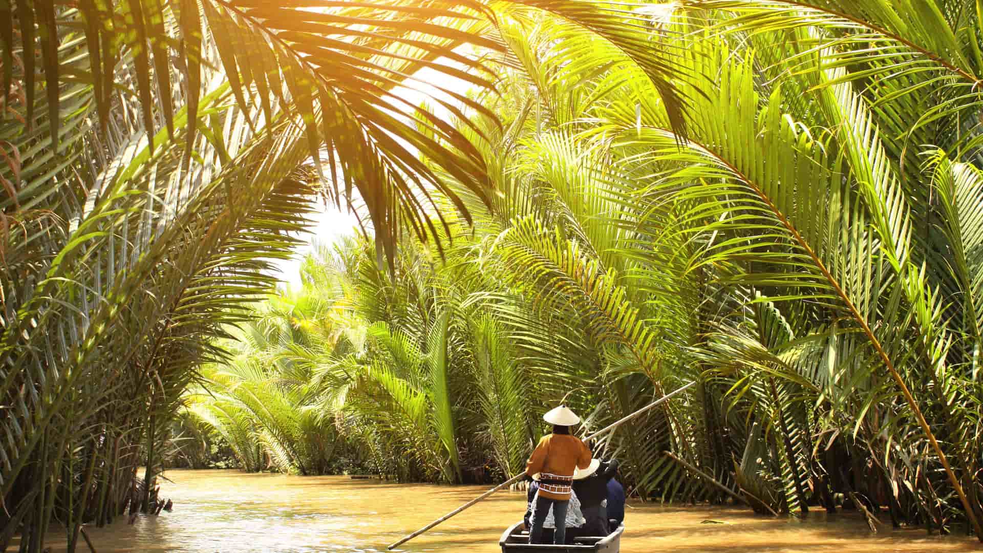 A Vietnamese guide wearing a conical hat paddles a traditional sampan boat through a sunny, narrow canal arched over by lush palm trees in Cu Lao Gieng.