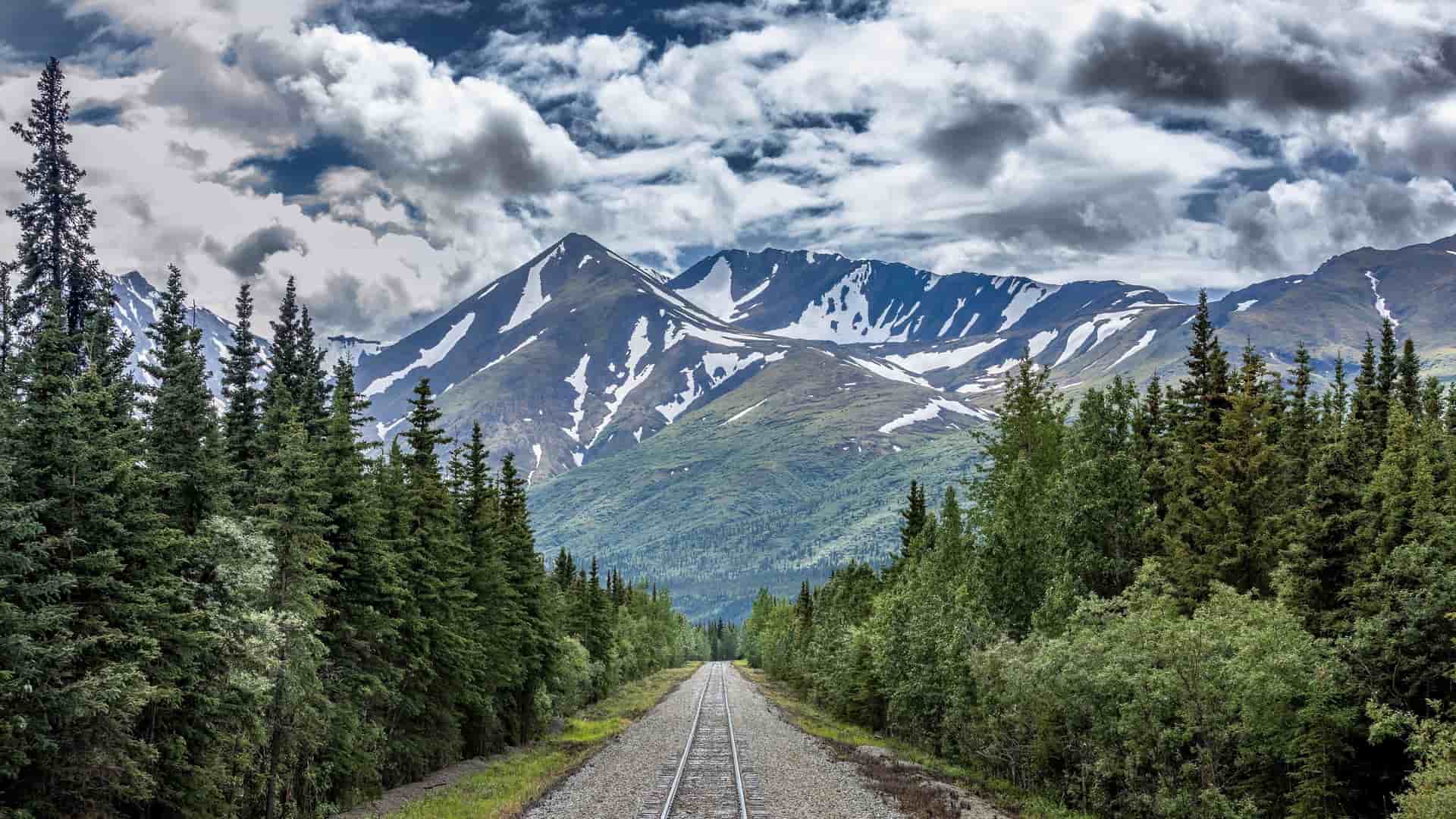 The scenic Alaska Railroad tracks leading through a lush evergreen forest towards the majestic, snow-capped mountains of Denali National Park, Alaska.