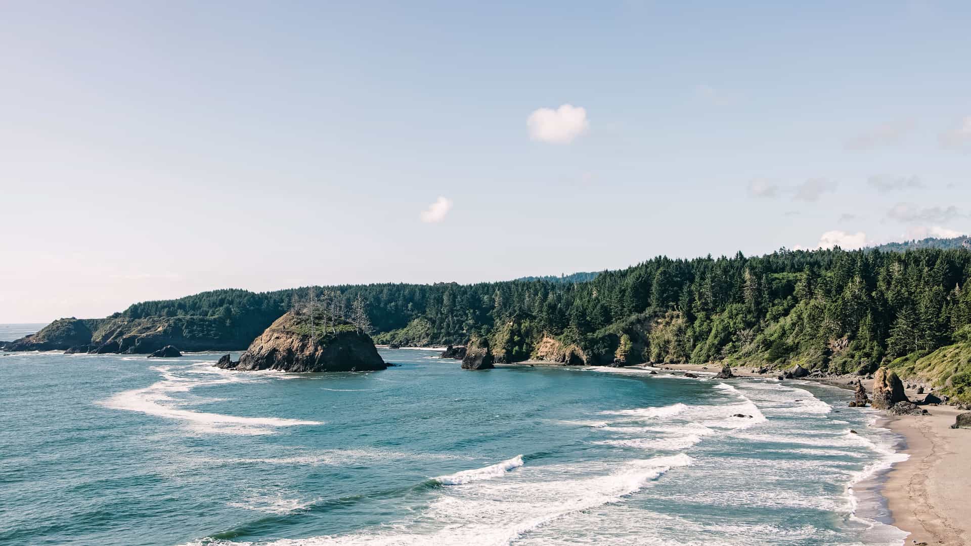 "A stunning view of the rugged Northern California coastline near Eureka, with waves crashing on a sandy beach and a small, tree-covered rocky island in the water, with a dense forest on the cliffs above. "