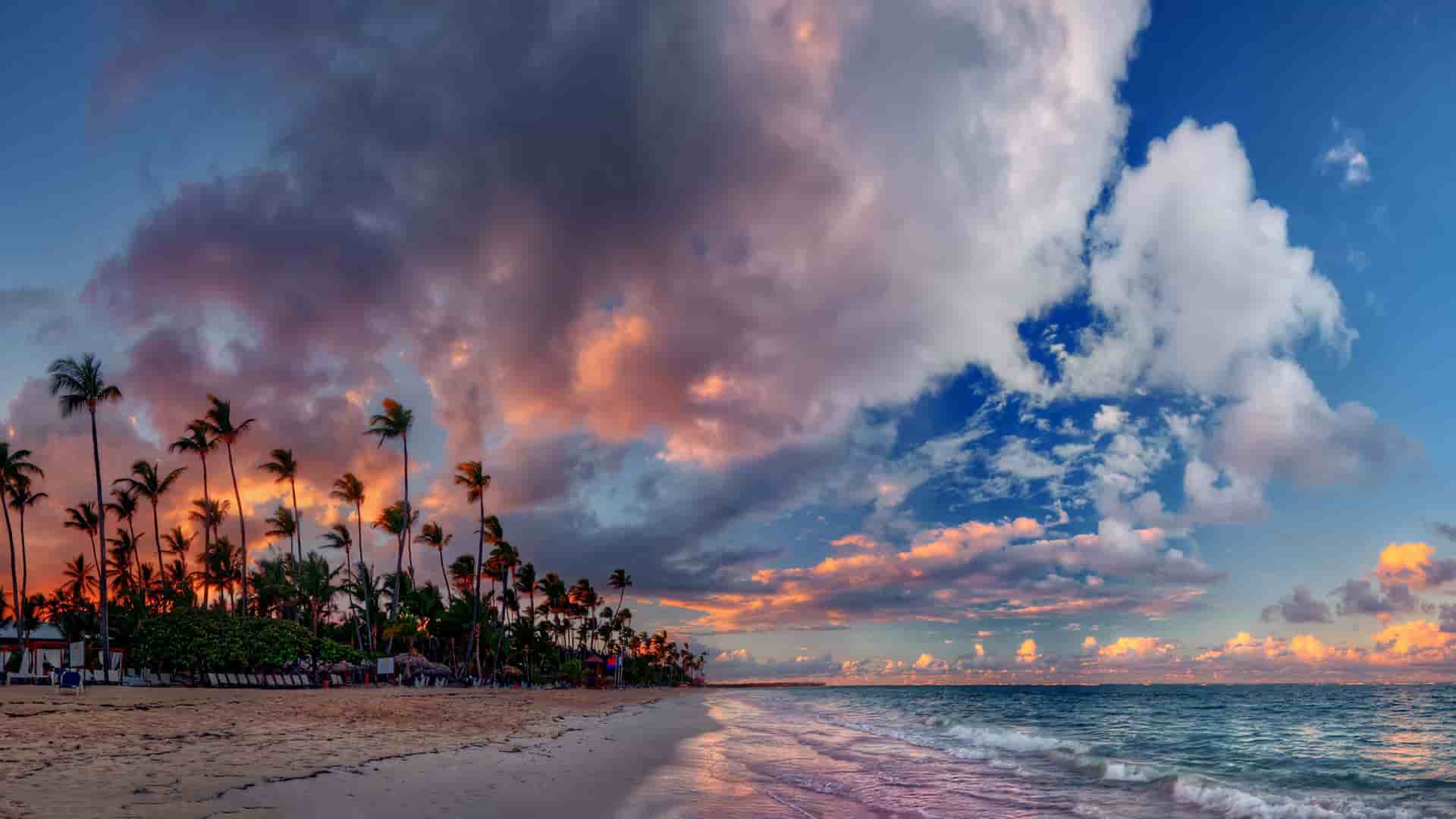A panoramic sunset view of a beautiful sandy beach on Grand Bahama Island, with palm trees silhouetted against a dramatic sky filled with vibrant pink and purple clouds.