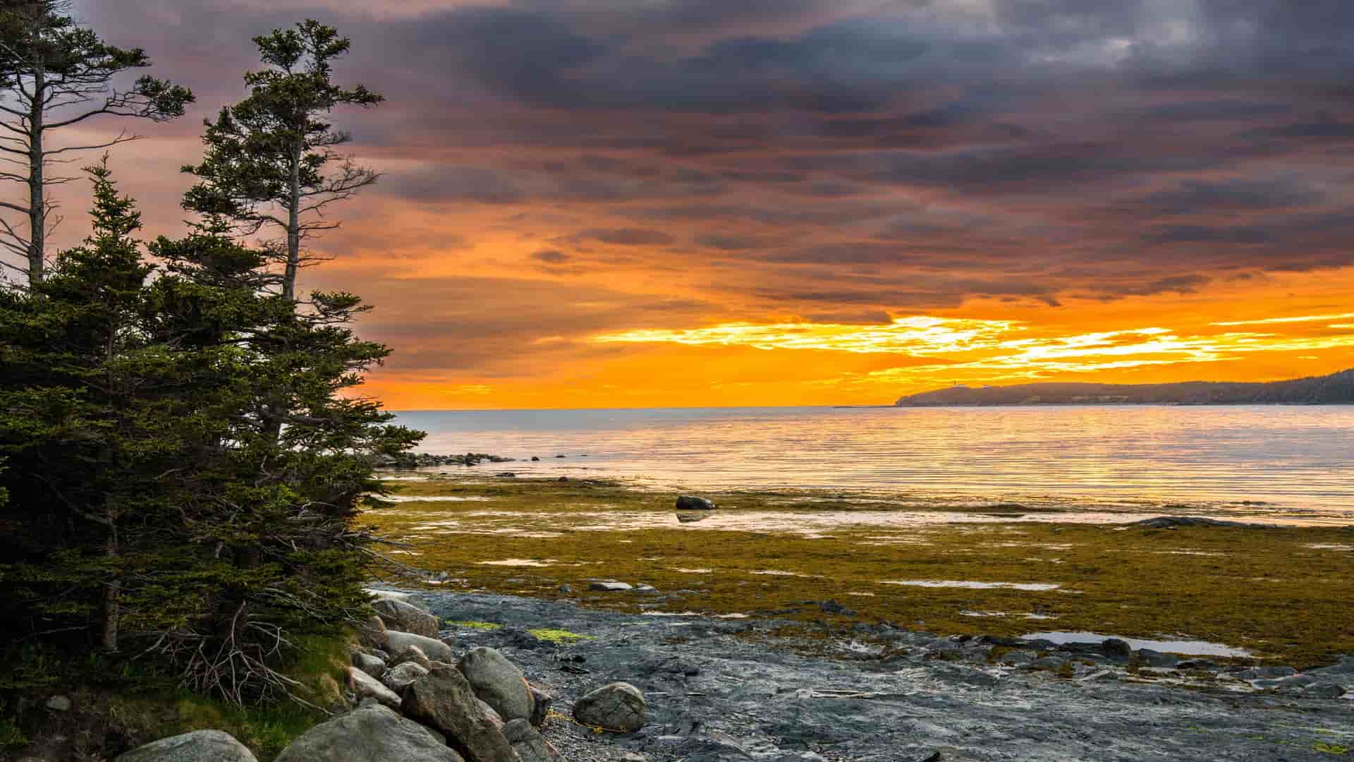 A breathtaking sunset over the ocean, with vibrant orange and gold light reflecting on the water, illuminating the rocky shoreline of Gros Morne National Park, Newfoundland.